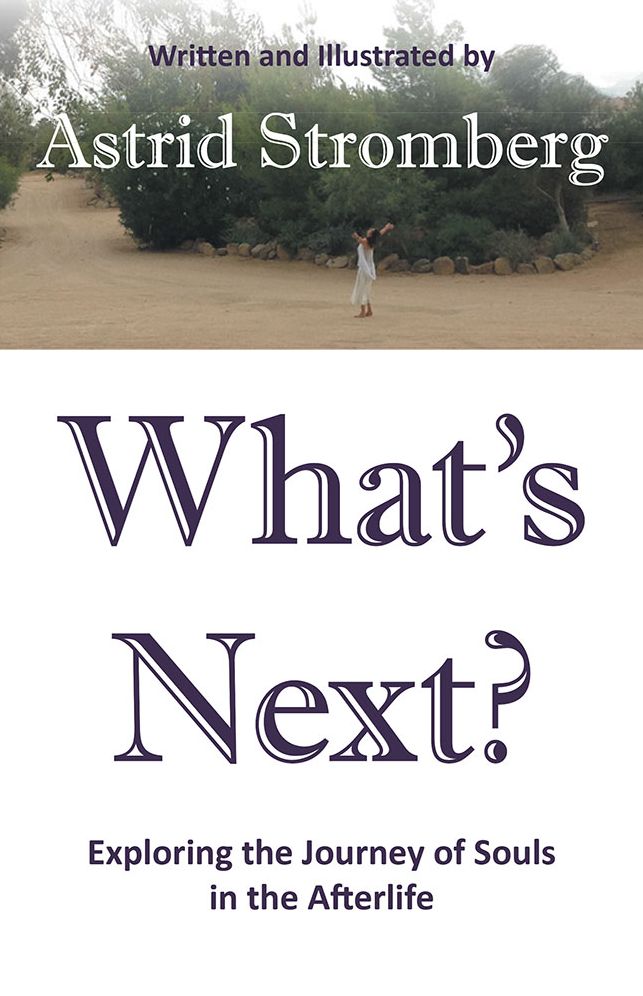 What's Next?: Exploring the Journey of Souls in the Afterlife
