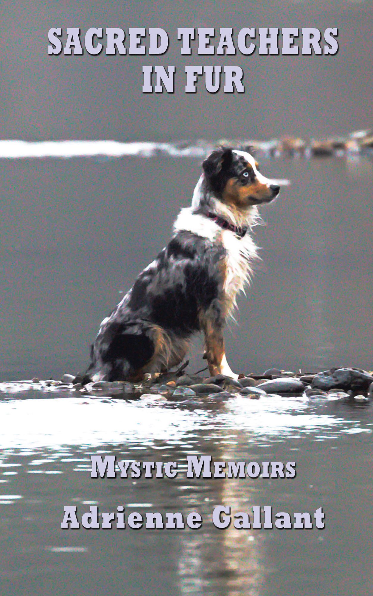 SACRED TEACHERS IN FUR: MYSTIC MEMOIRS