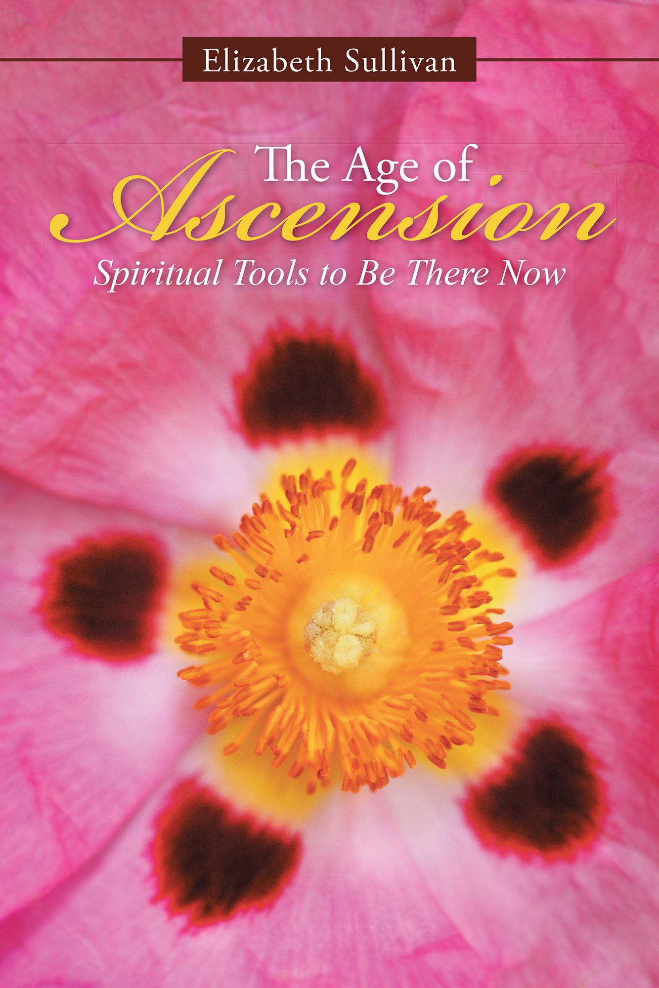 The Age of Ascension: Spiritual Tools to Be There Now