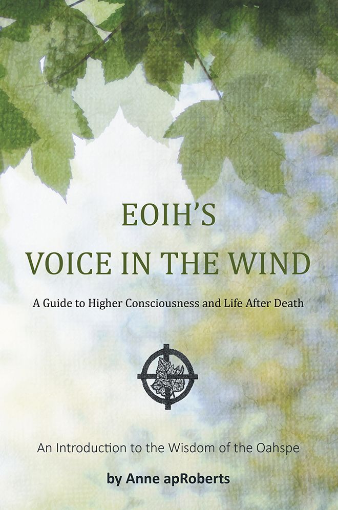 EOIH'S VOICE IN THE WIND: A Guide to Higher Consciousness and Life After Death