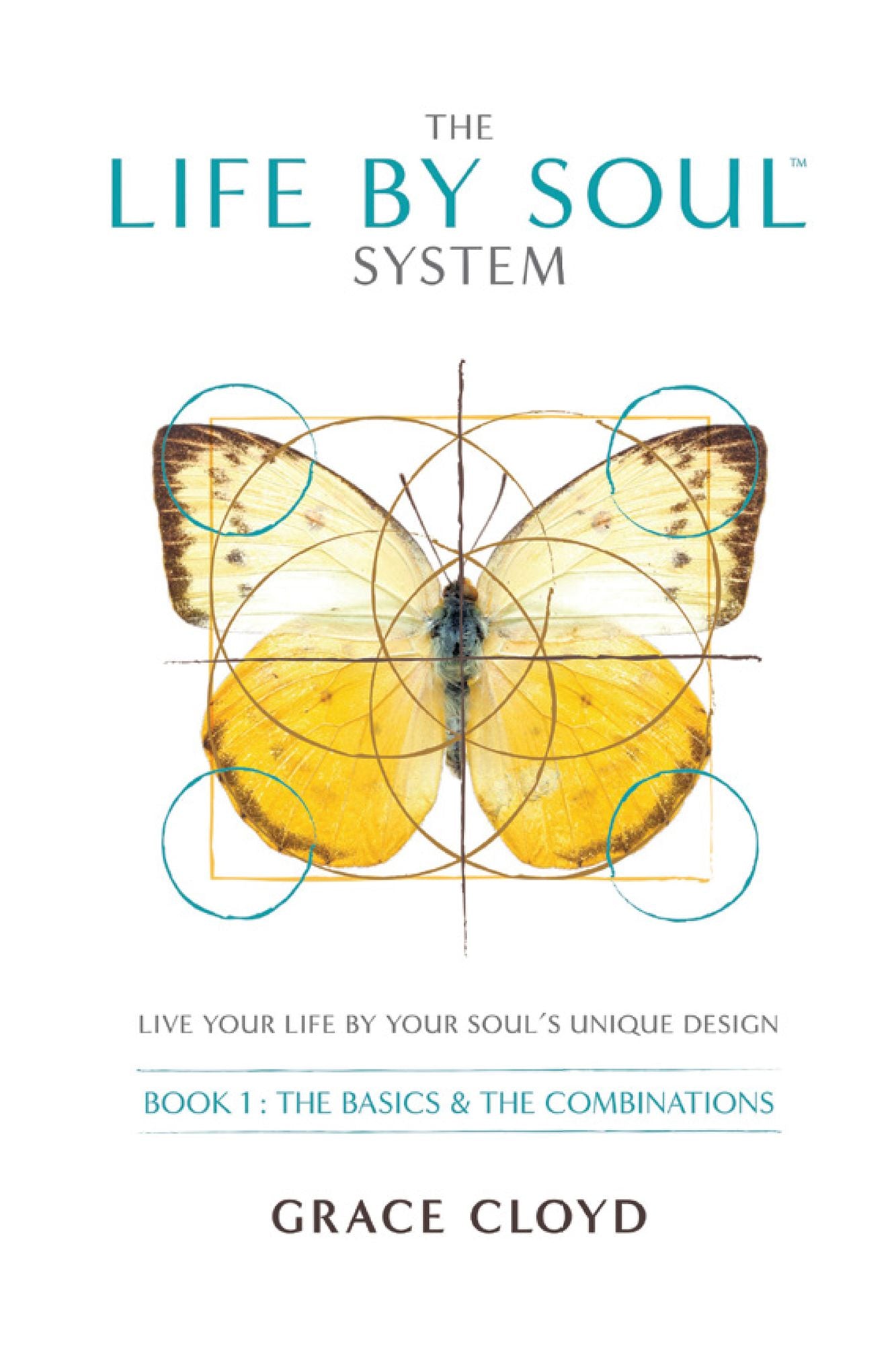 The Life By Soul System: Book 1 - The Basics & The Combinations