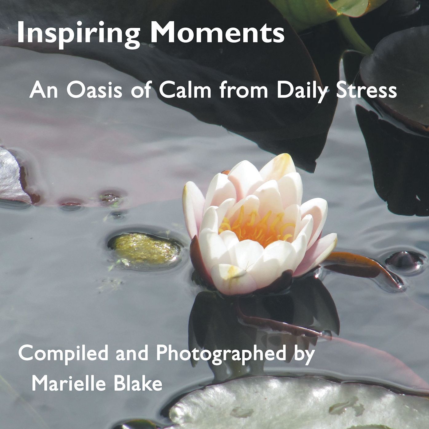 Inspiring Moments: An Oasis of Calm from Daily Stress