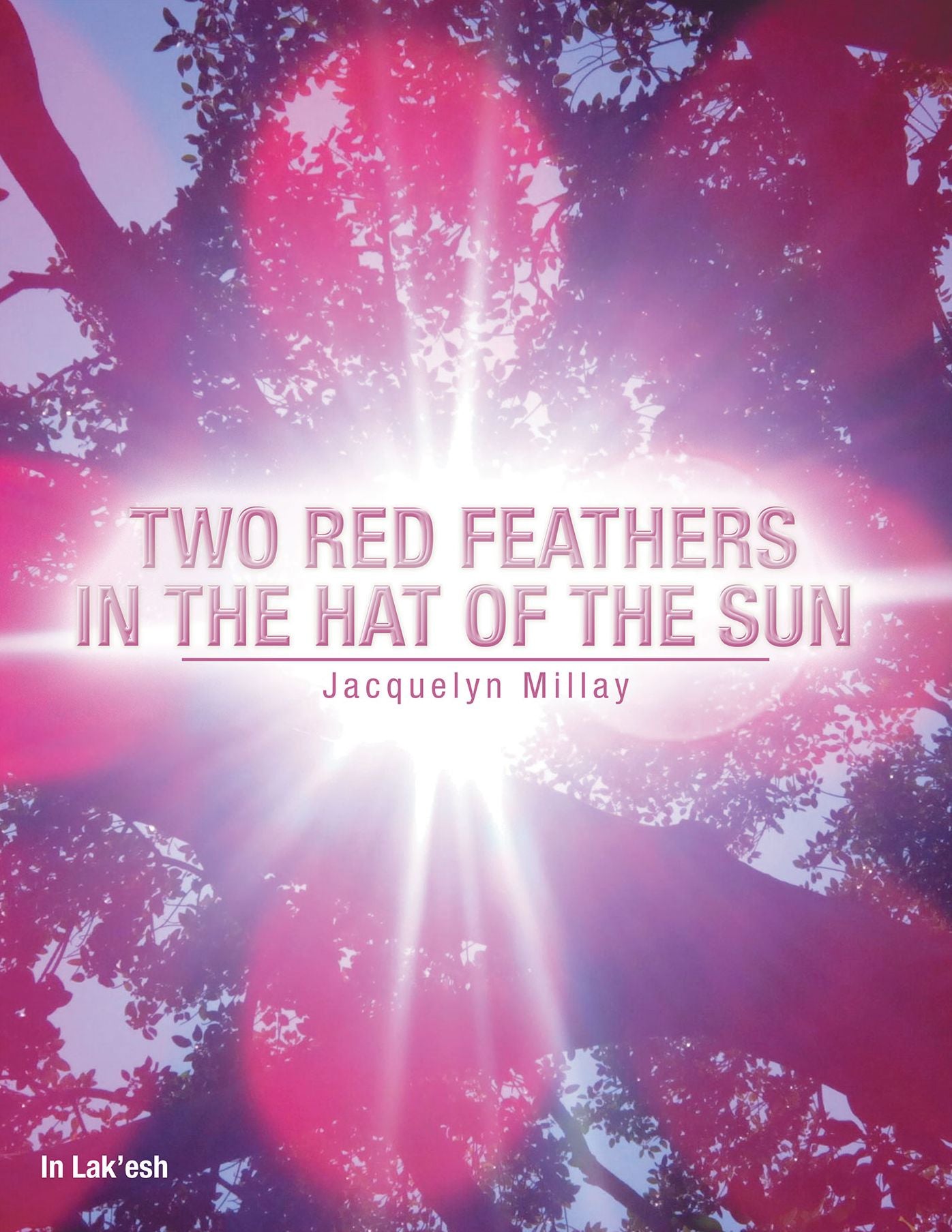 TWO RED FEATHERS in the HAT of the SUN
