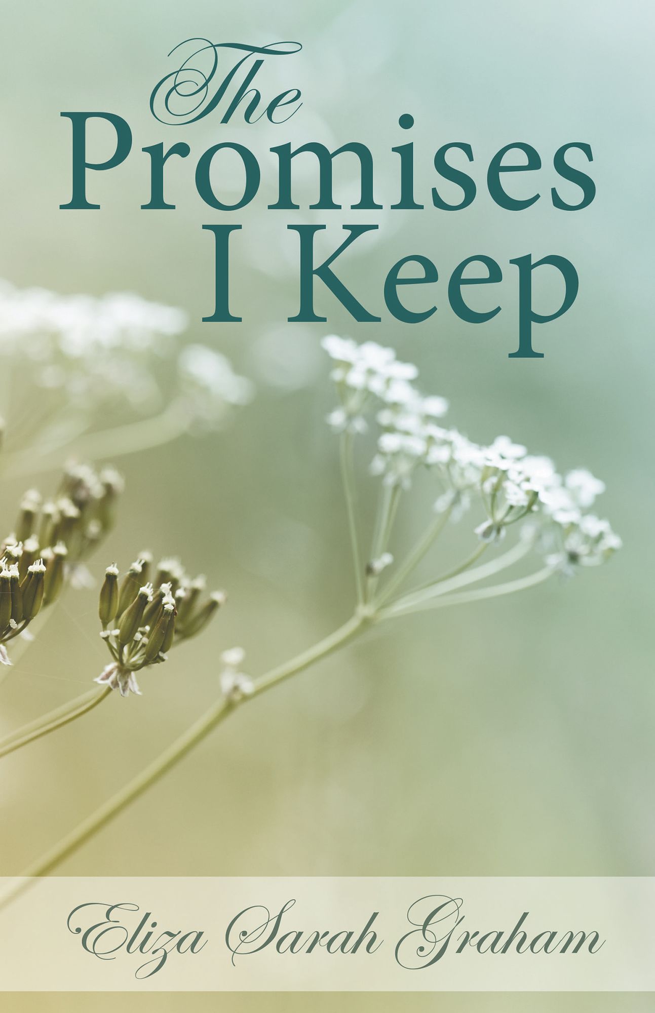 The Promises I Keep