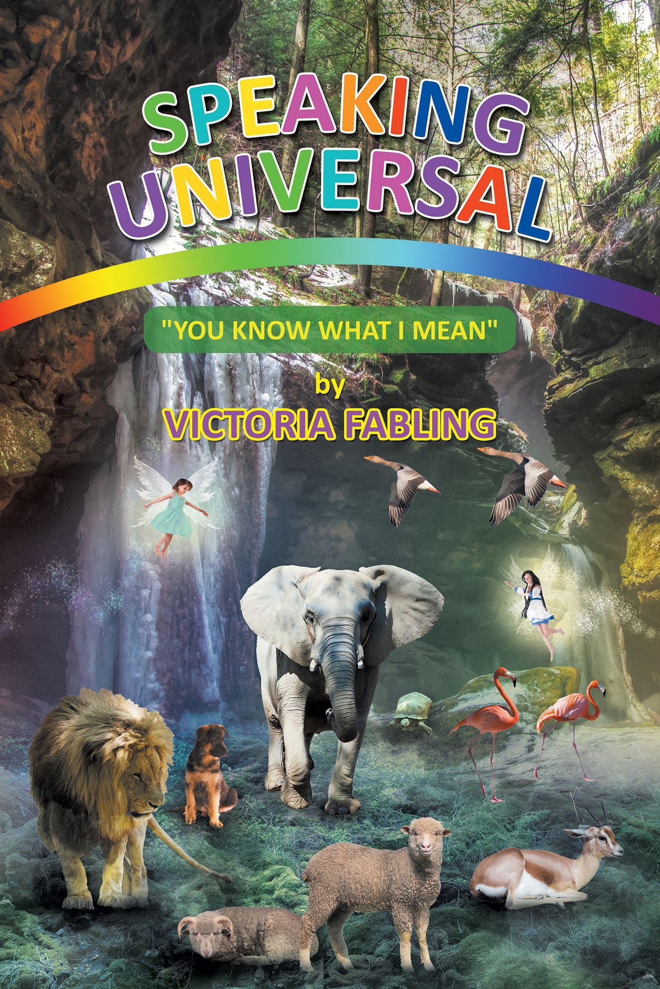 Speaking Universal: "You Know What I Mean"