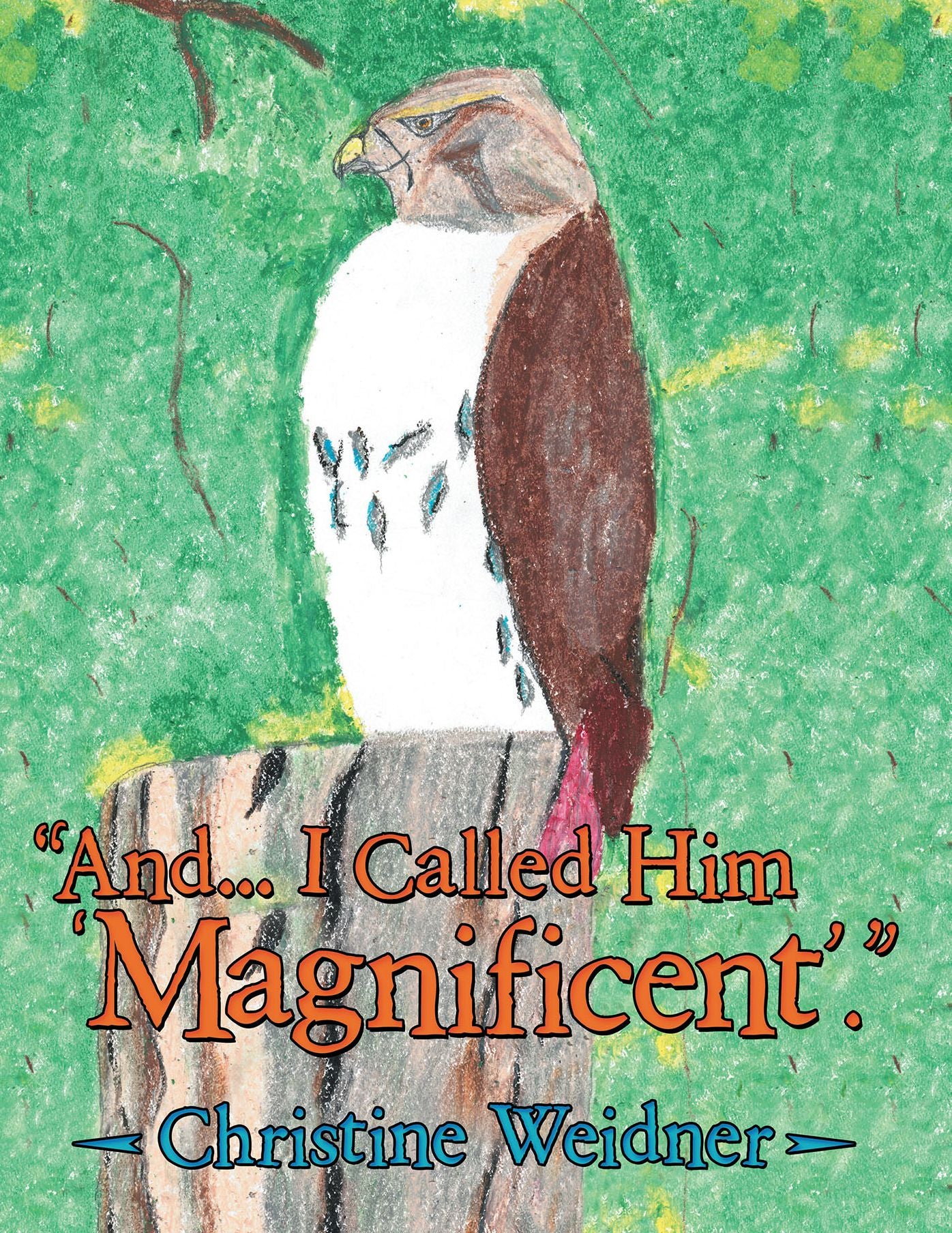 "And... I Called Him 'Magnificent'."