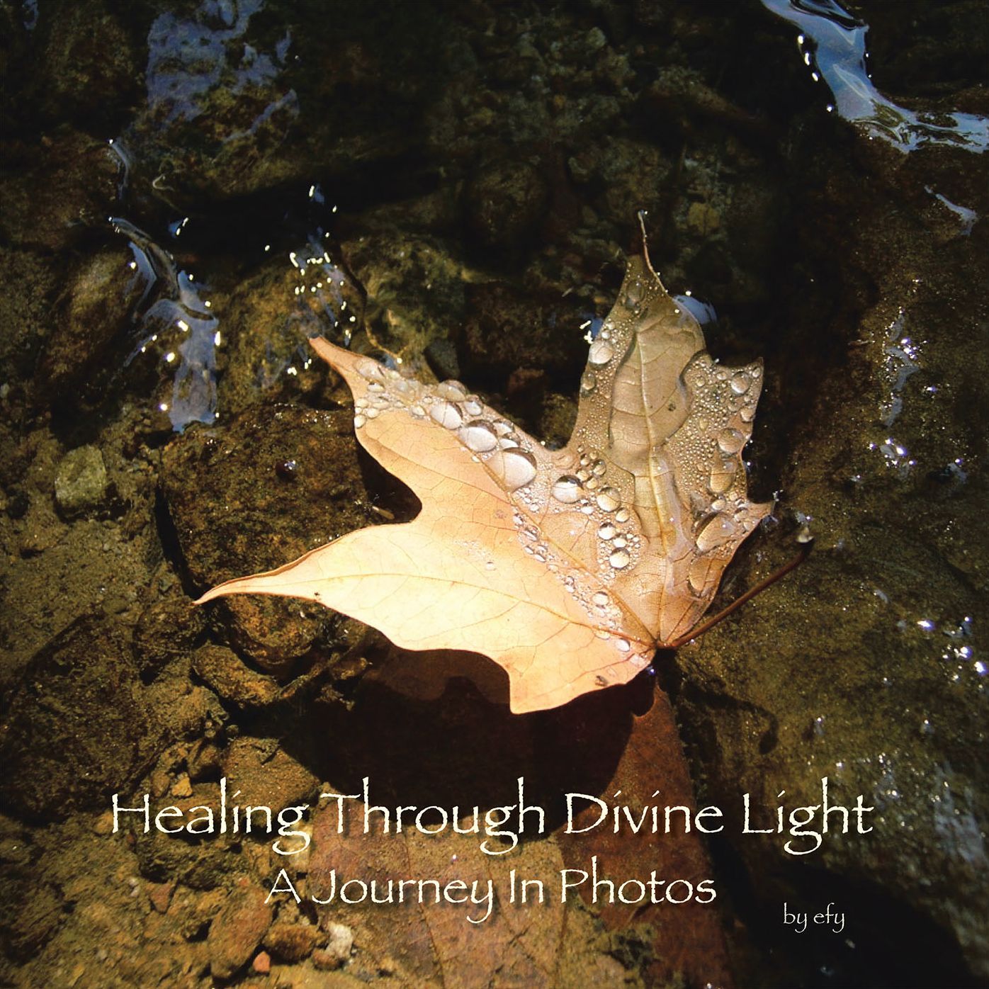 Healing Through Divine Light: A Journey in Photos