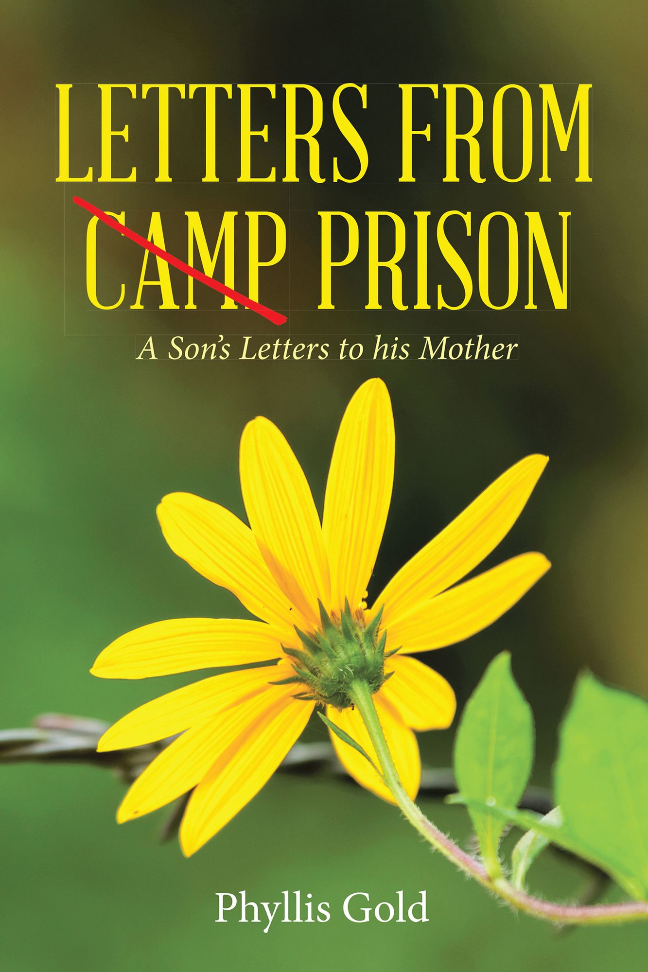 LETTERS from CAMP PRISON: A Son's Letters to His Mother