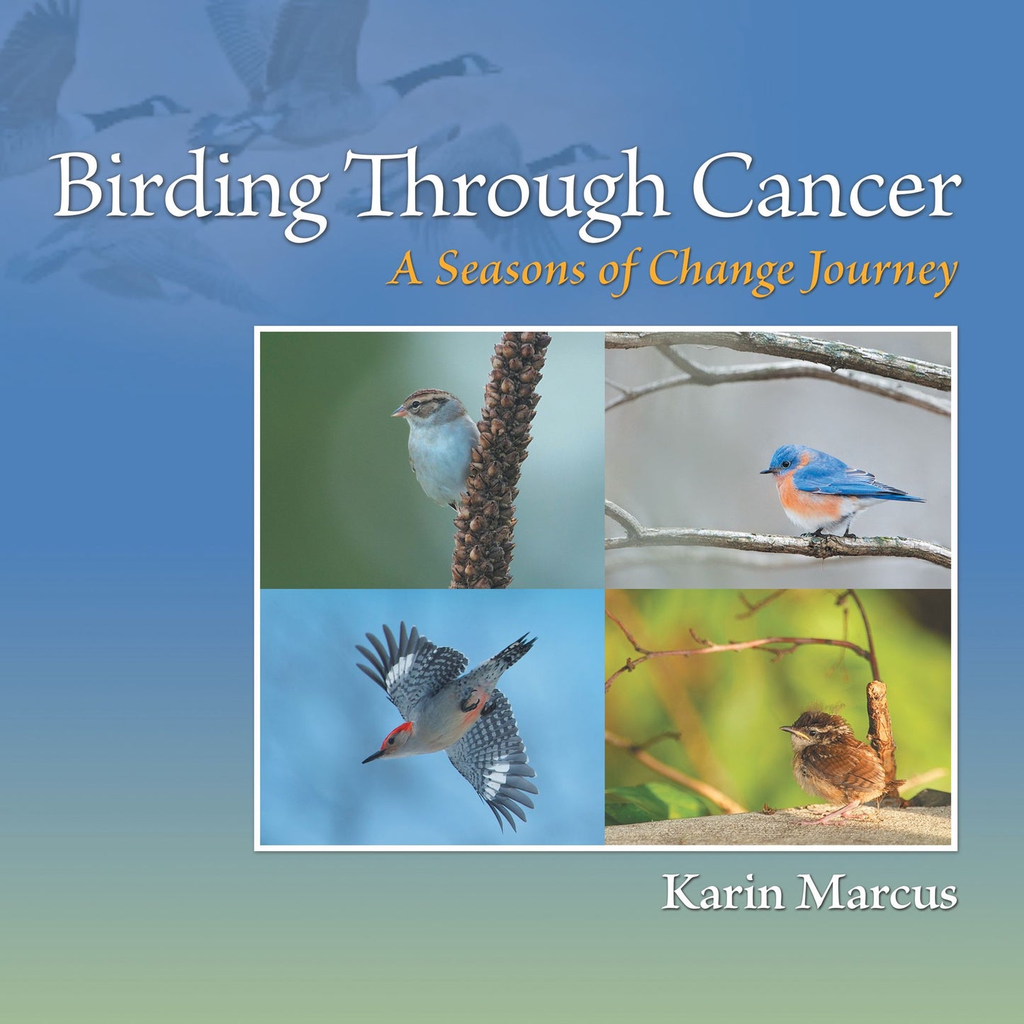 Birding Through Cancer: A Seasons of Change Journey