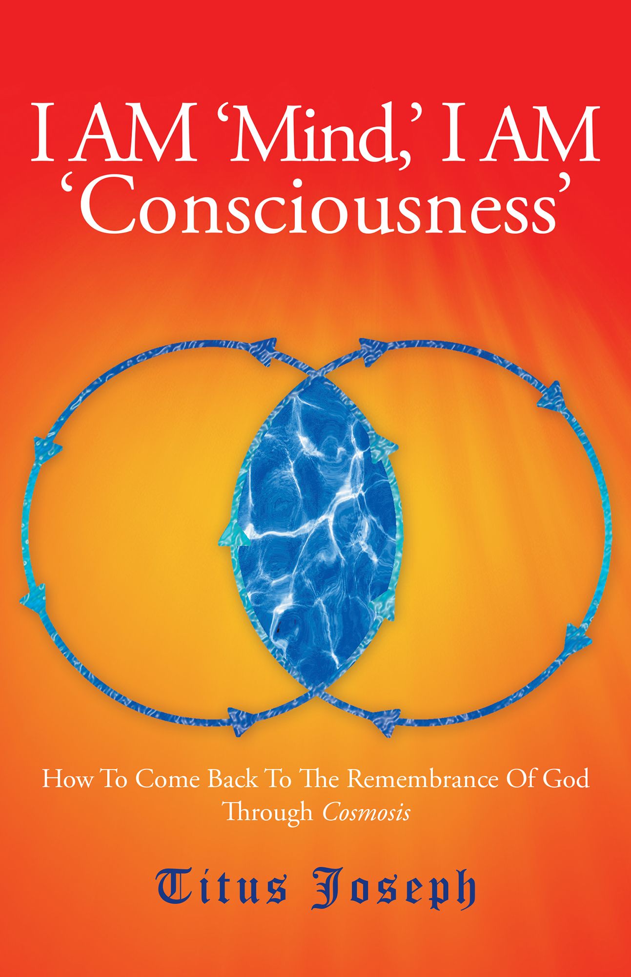 I AM MIND I AM CONSCIOUSNESS: How to Come Back to the Remembrance of God Through Cosmosis
