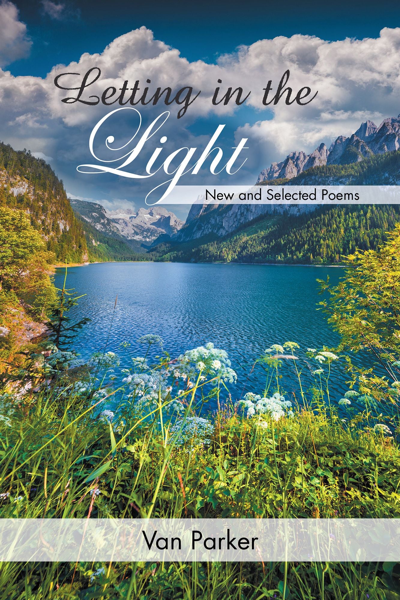 Letting in the Light: New and Selected Poems