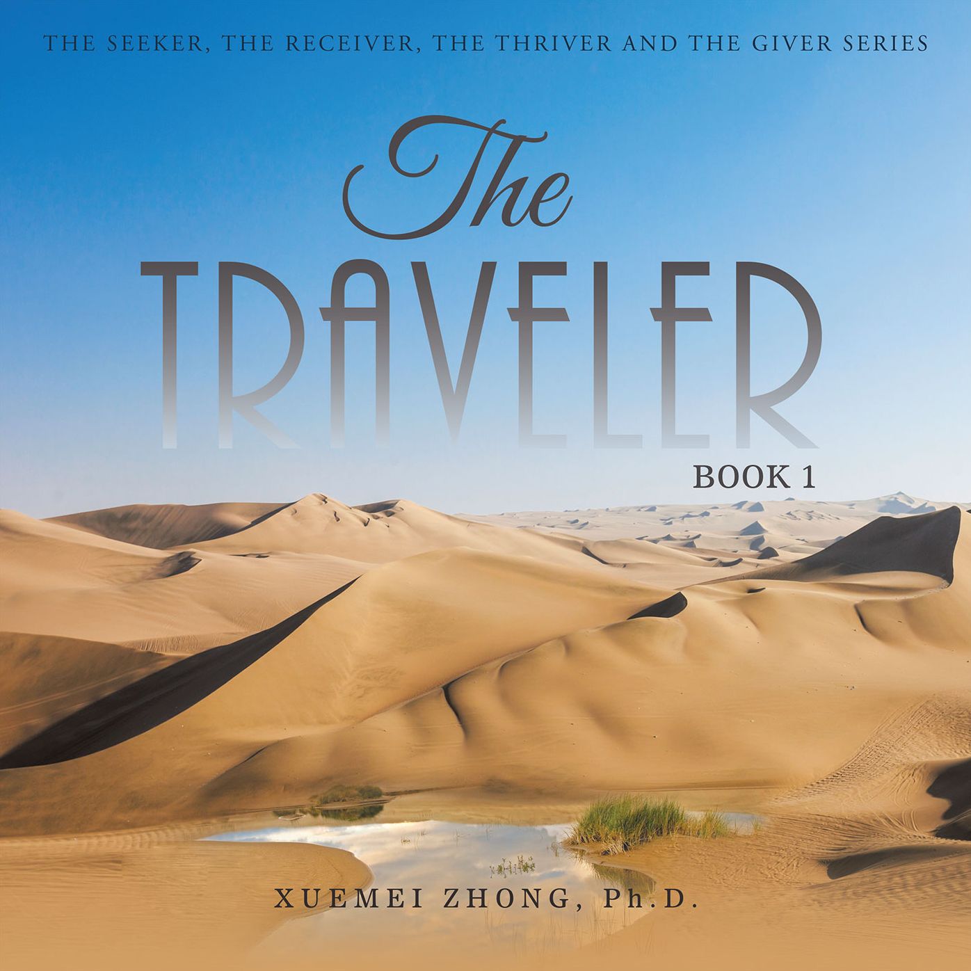 The Traveler: Book 1 (PagePerfect NOOK Book)