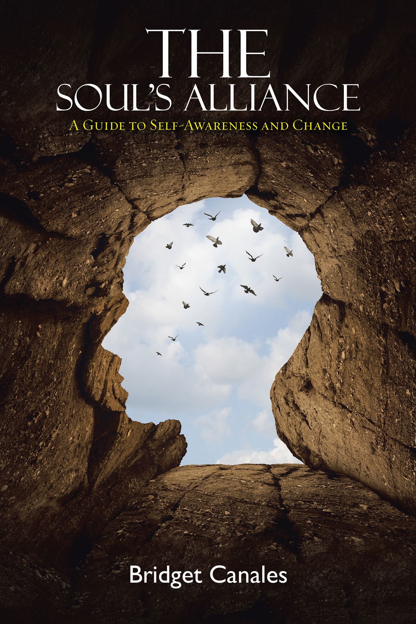 The Souls Alliance: A Guide to Self-Awareness and Change
