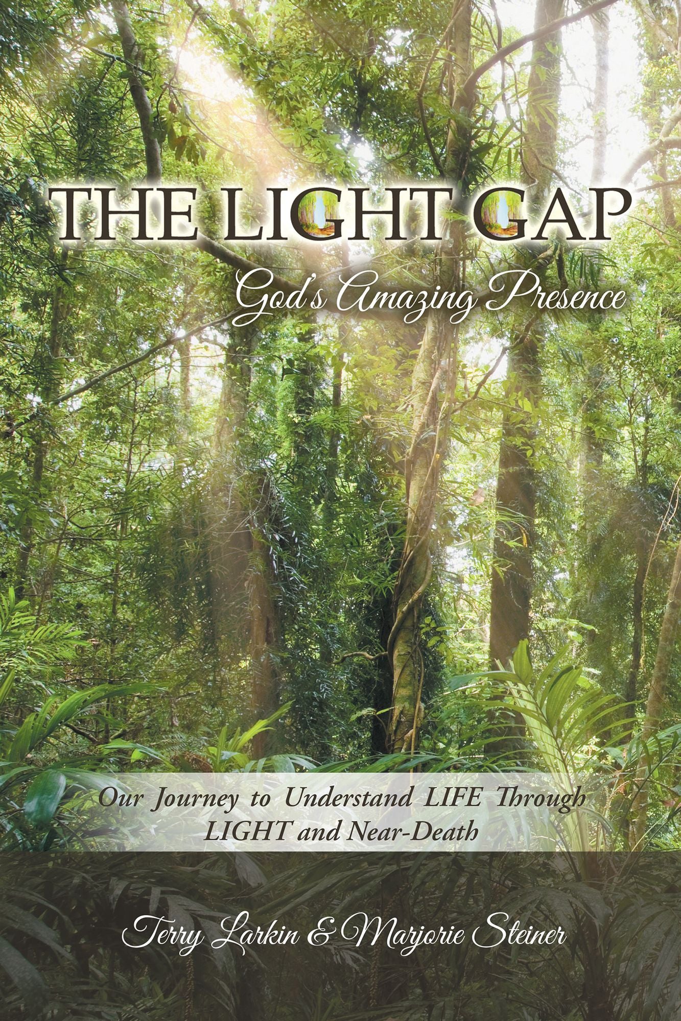 The Light GAP: God's Amazing Presence: Our Journey to Understand Life Through Light and Near-Death