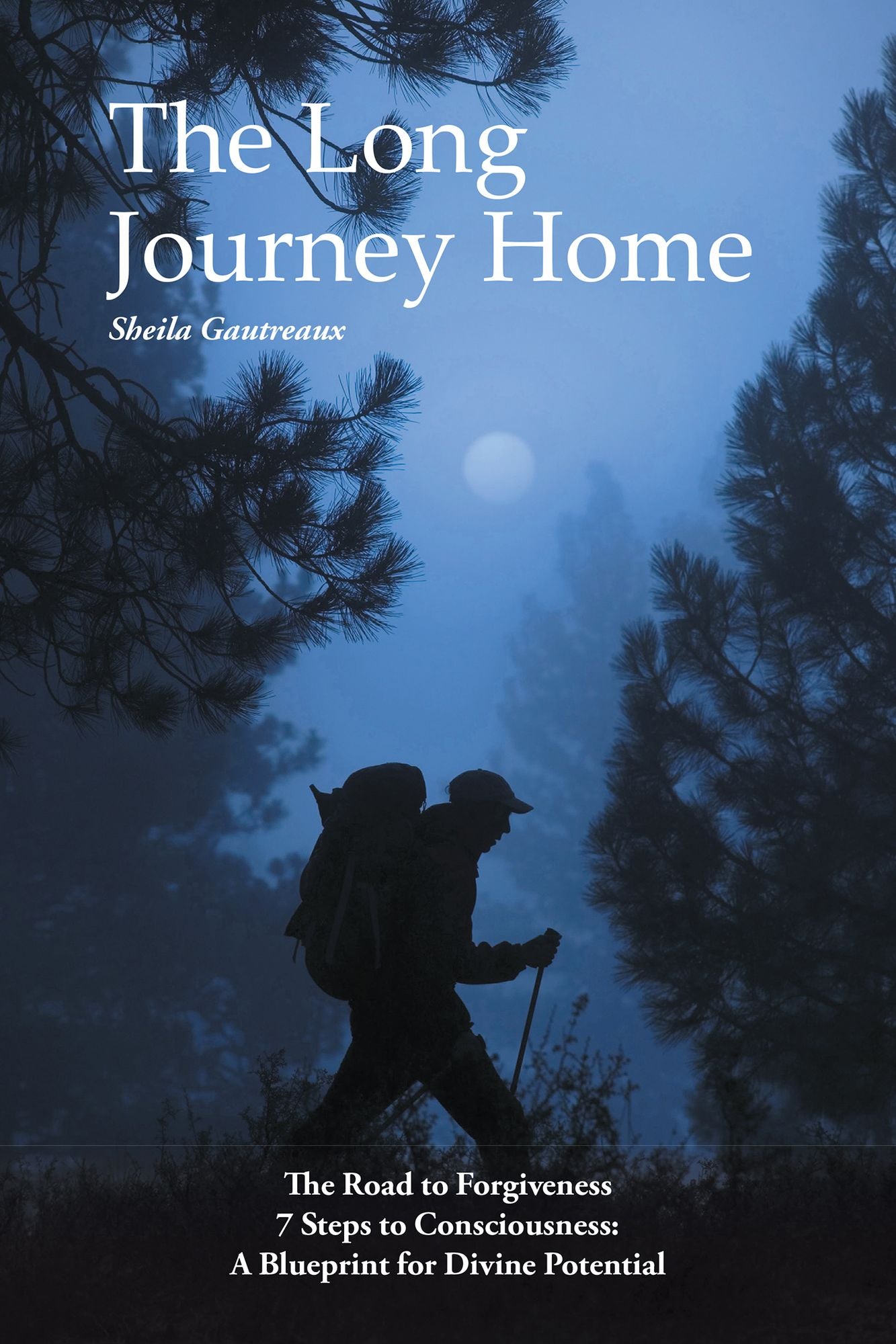 The Long Journey Home: The Road to Forgiveness 7 Steps to Consciousness: a Blueprint for Divine Potential