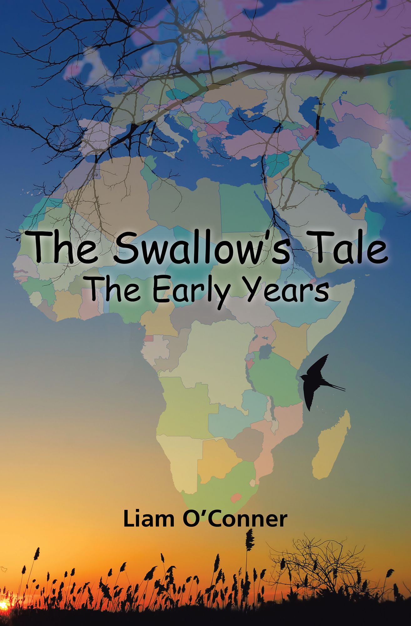The Swallow's Tale - the Early Years