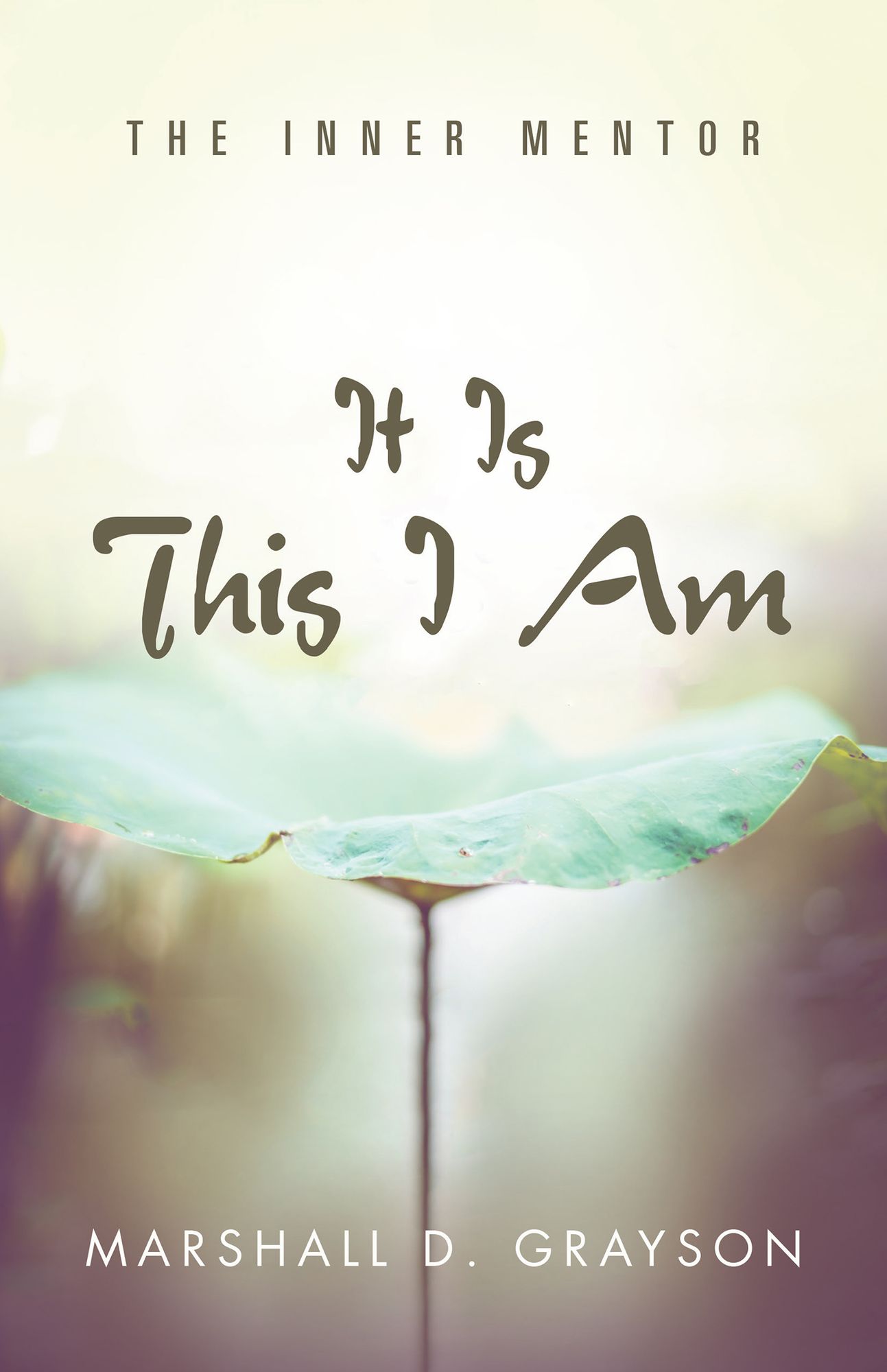It Is This I Am: The Inner Mentor