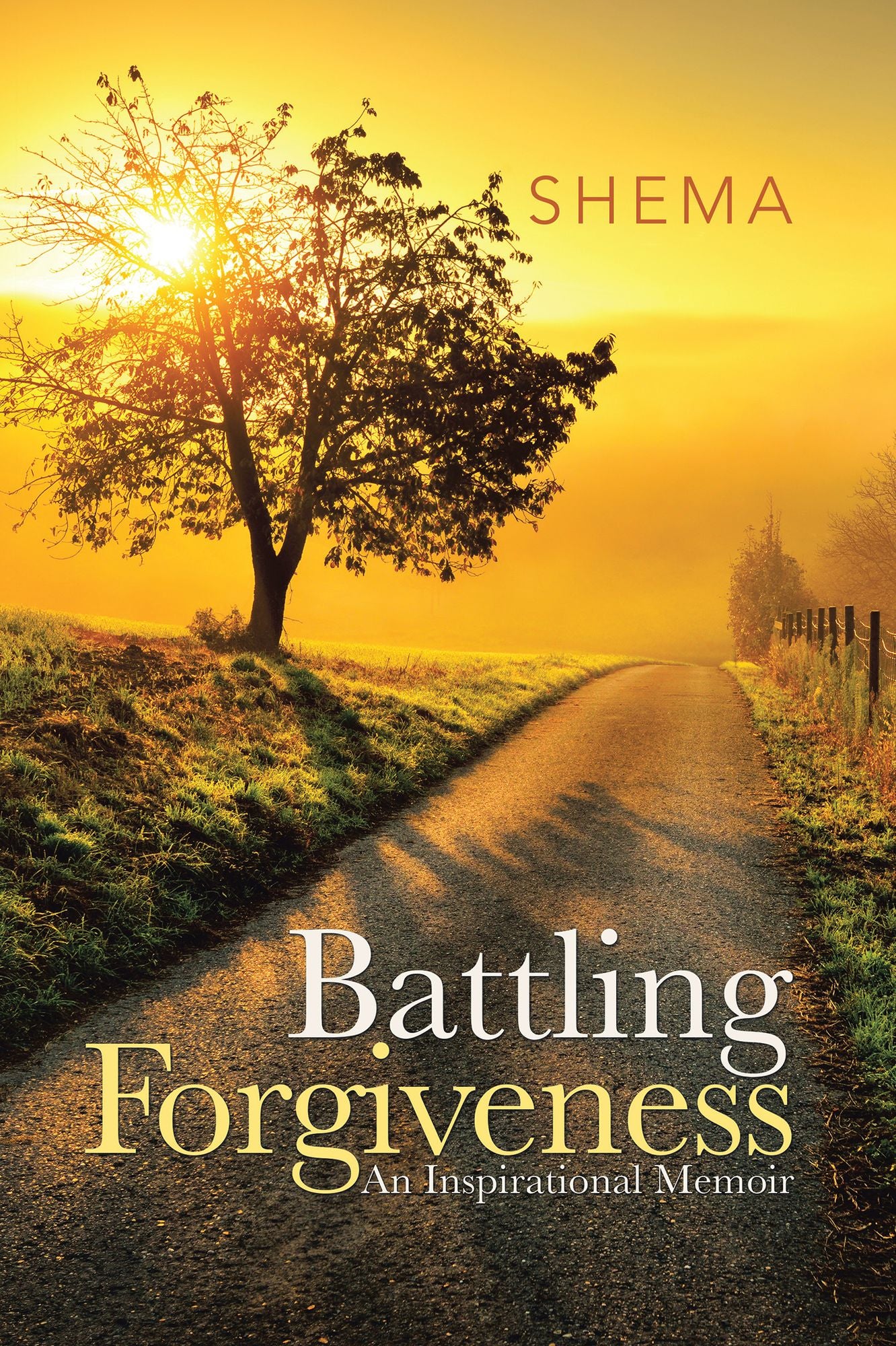Battling Forgiveness: An Inspirational Memoir
