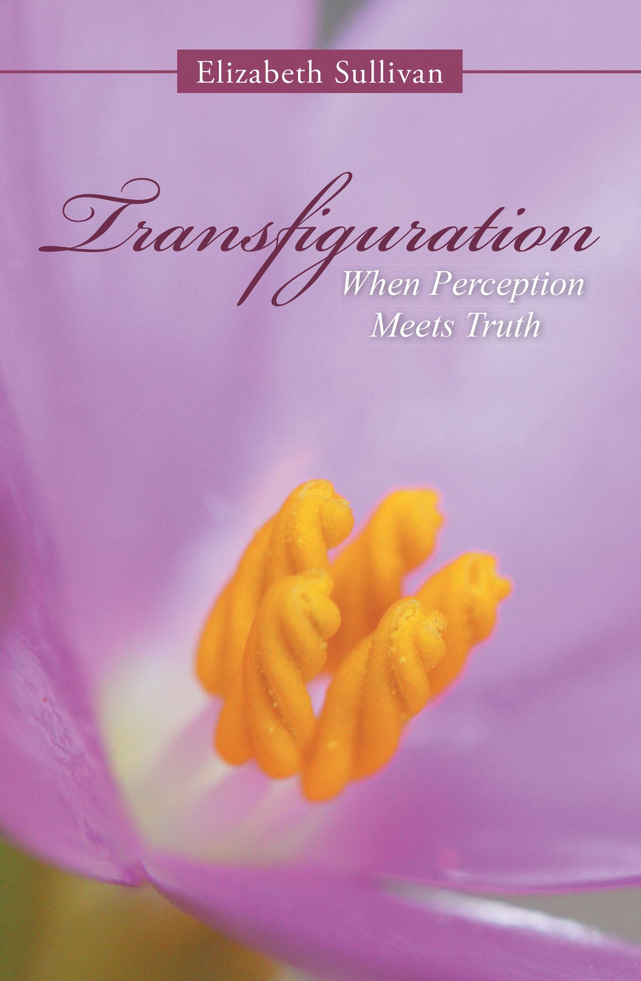 Transfiguration: When Perception Meets Truth