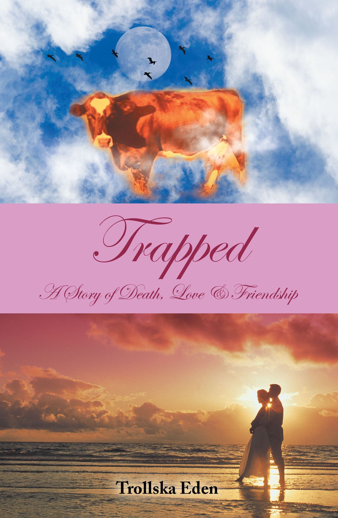 Trapped: A Story of Death, Love & Friendship
