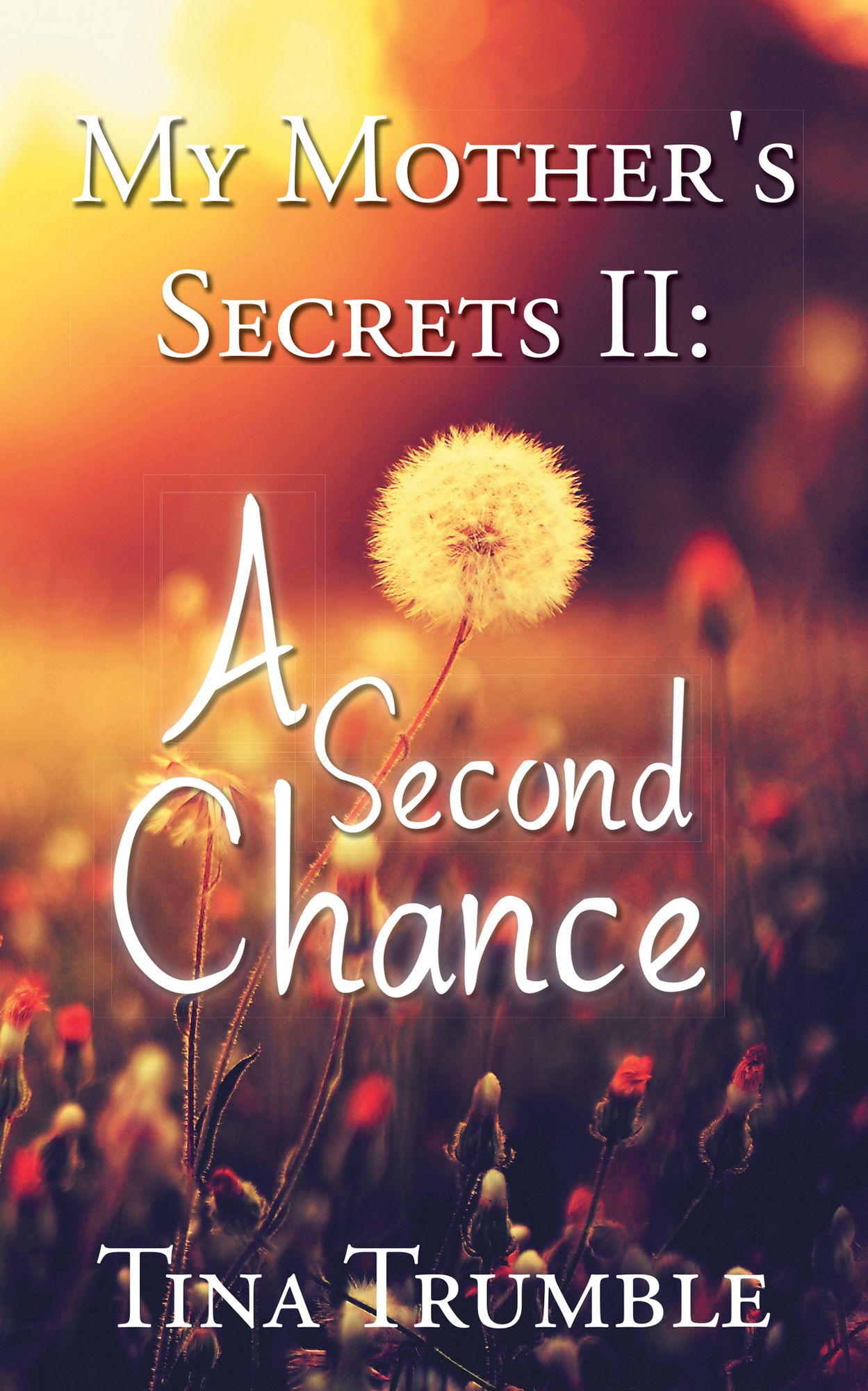 My Mother's Secrets II: A Second Chance
