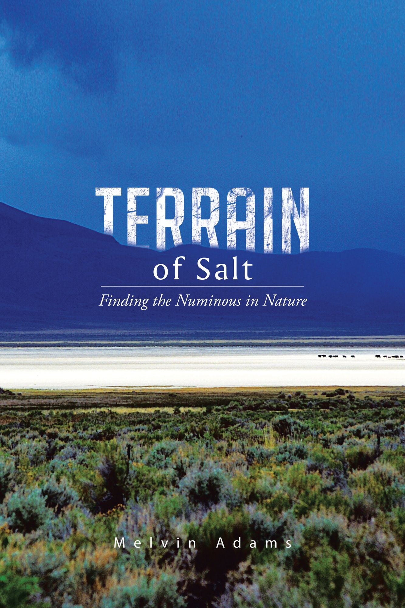 Terrain of Salt: Finding the Numinous in Nature