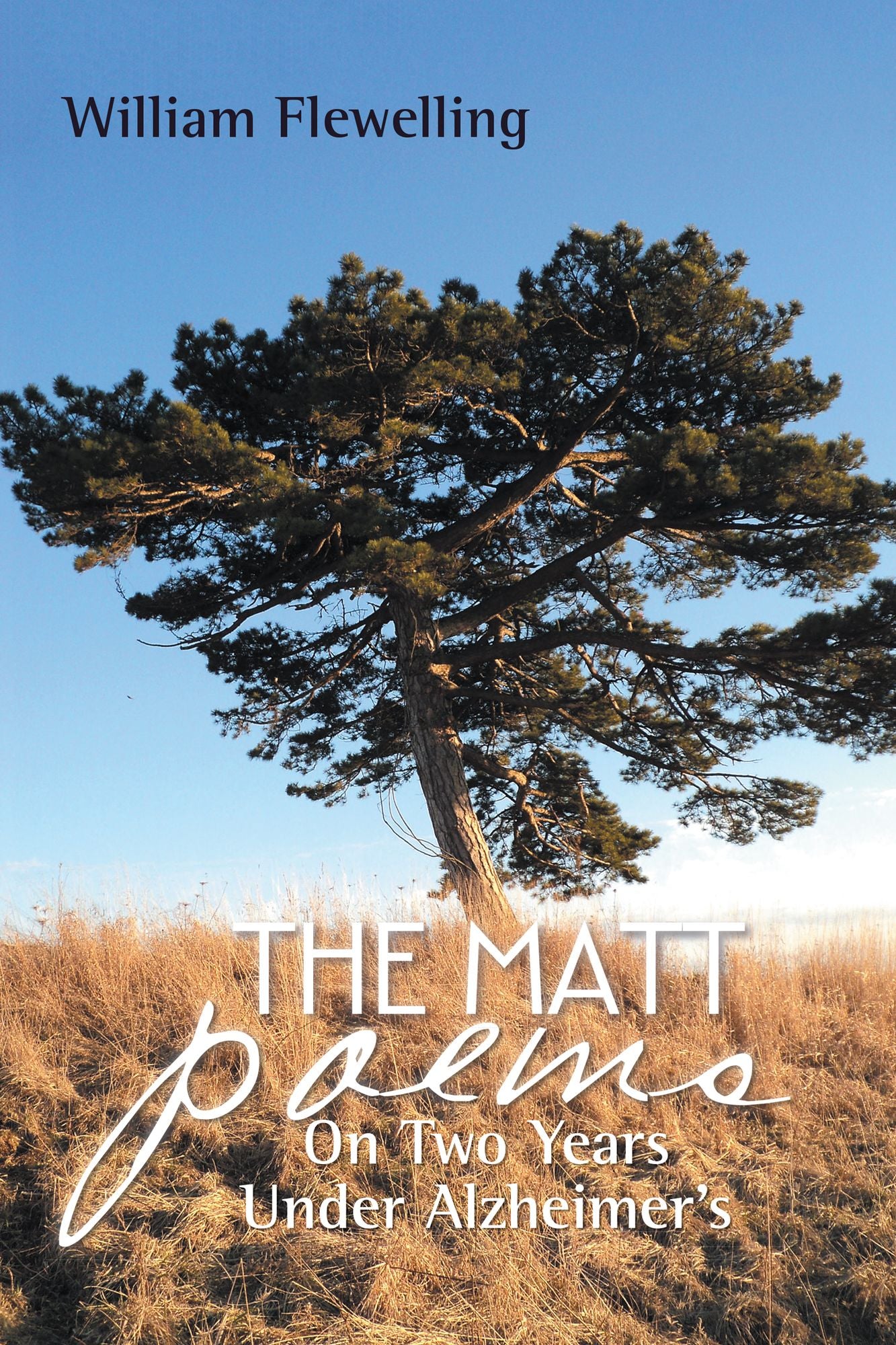 The Matt Poems: On Two Years Under Alzheimer's