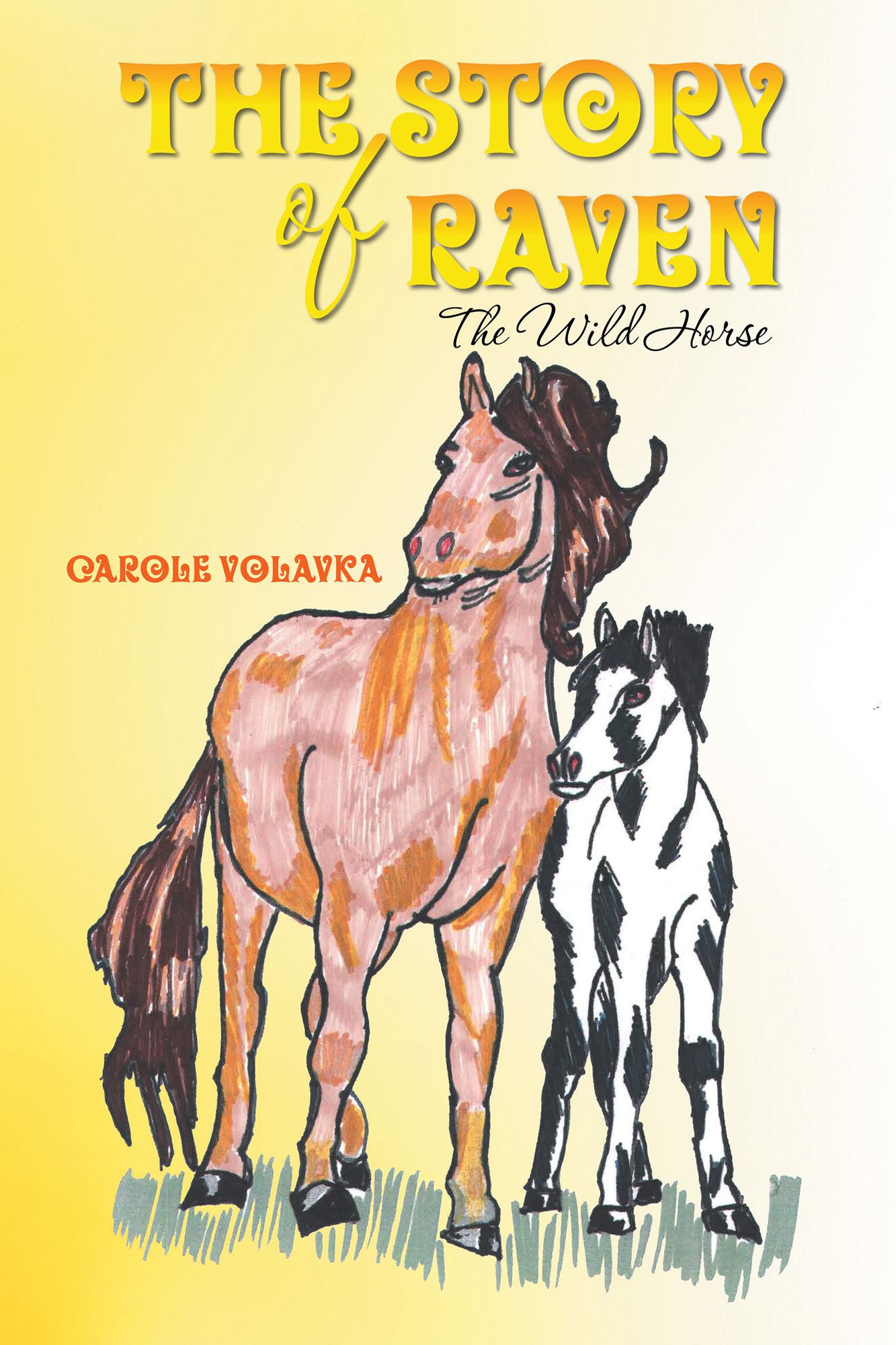The Story of Raven: The Wild Horse