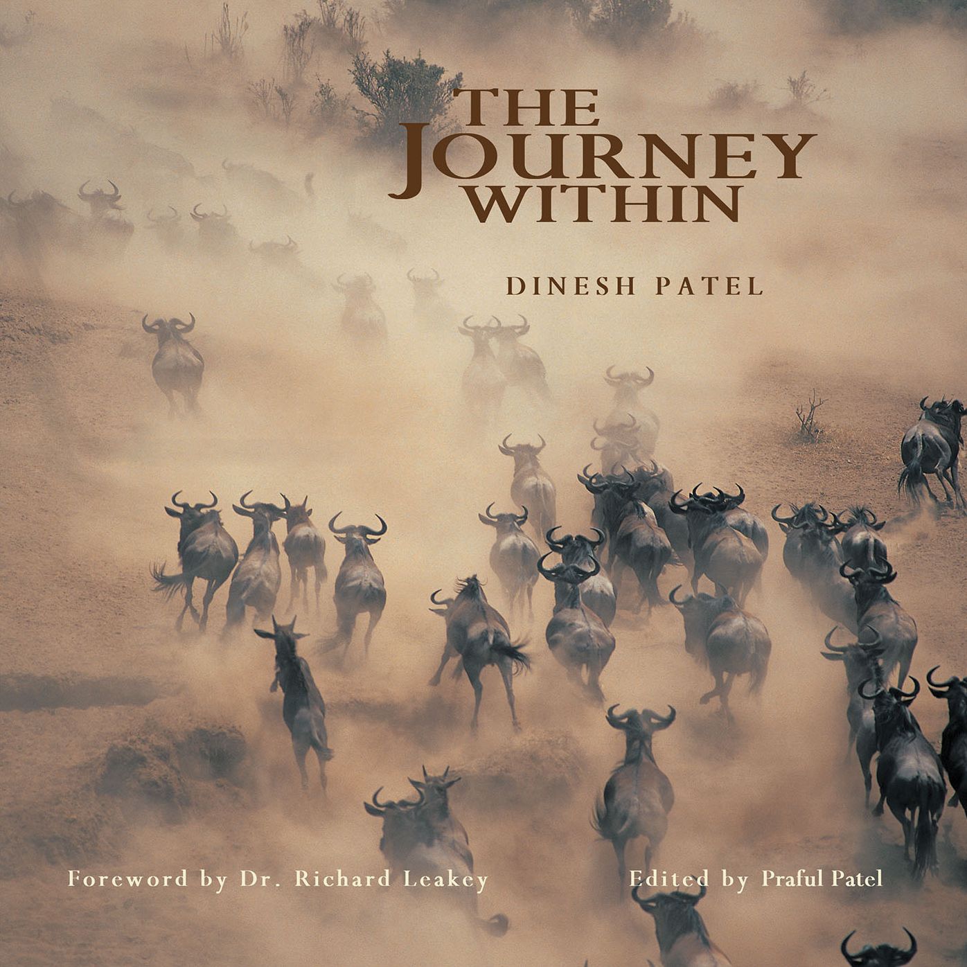 The Journey Within
