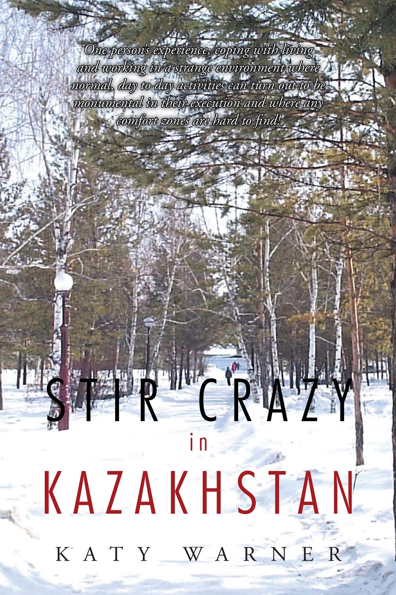 Stir Crazy in Kazakhstan: One Person's Experience, Coping with Living and Working in a Strange Environment Where Normal, Day to Day Activities Can Turn Out to Be Monumental in Their Execution and Where Any Comfort Zones Are Hard to Find!