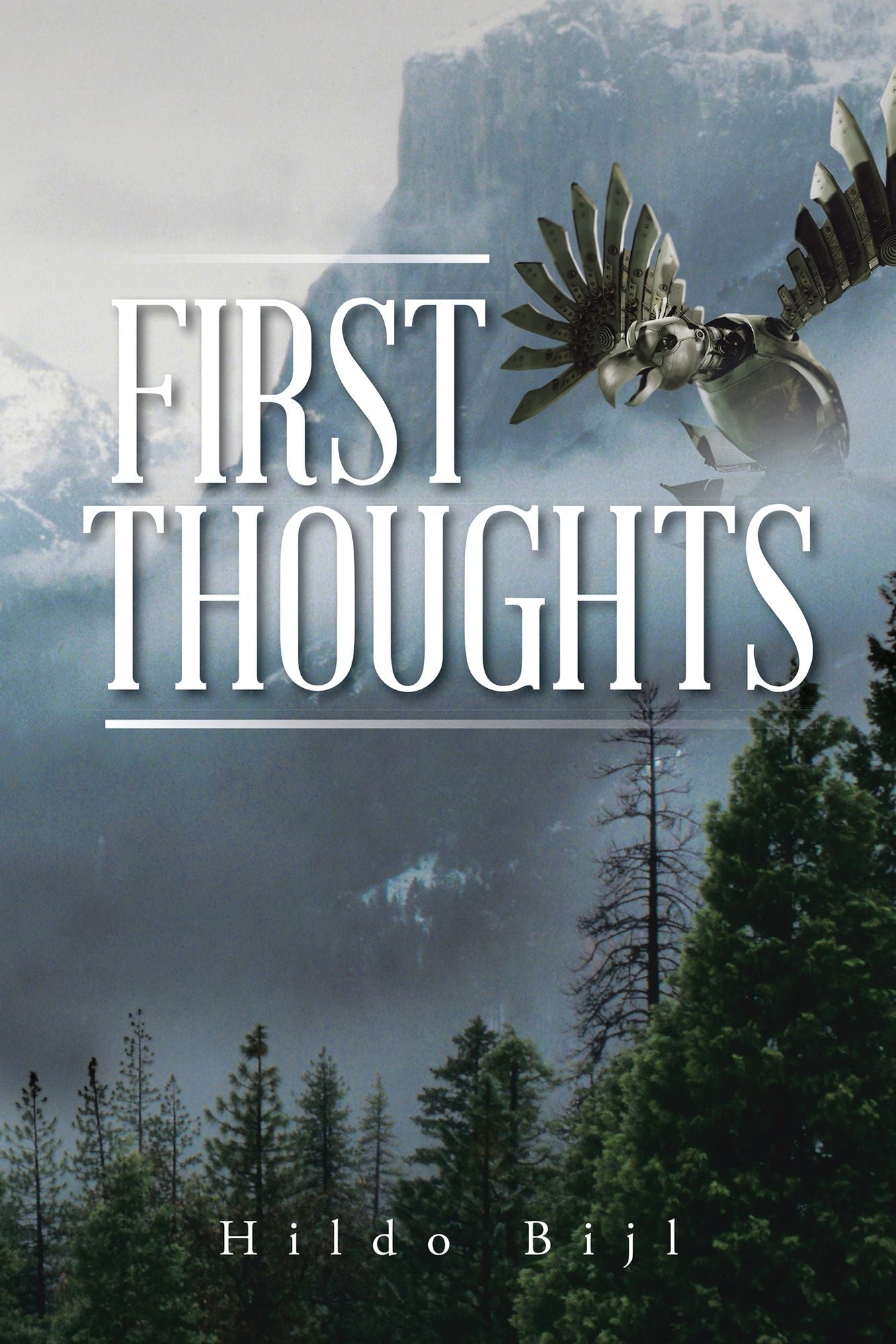 First Thoughts