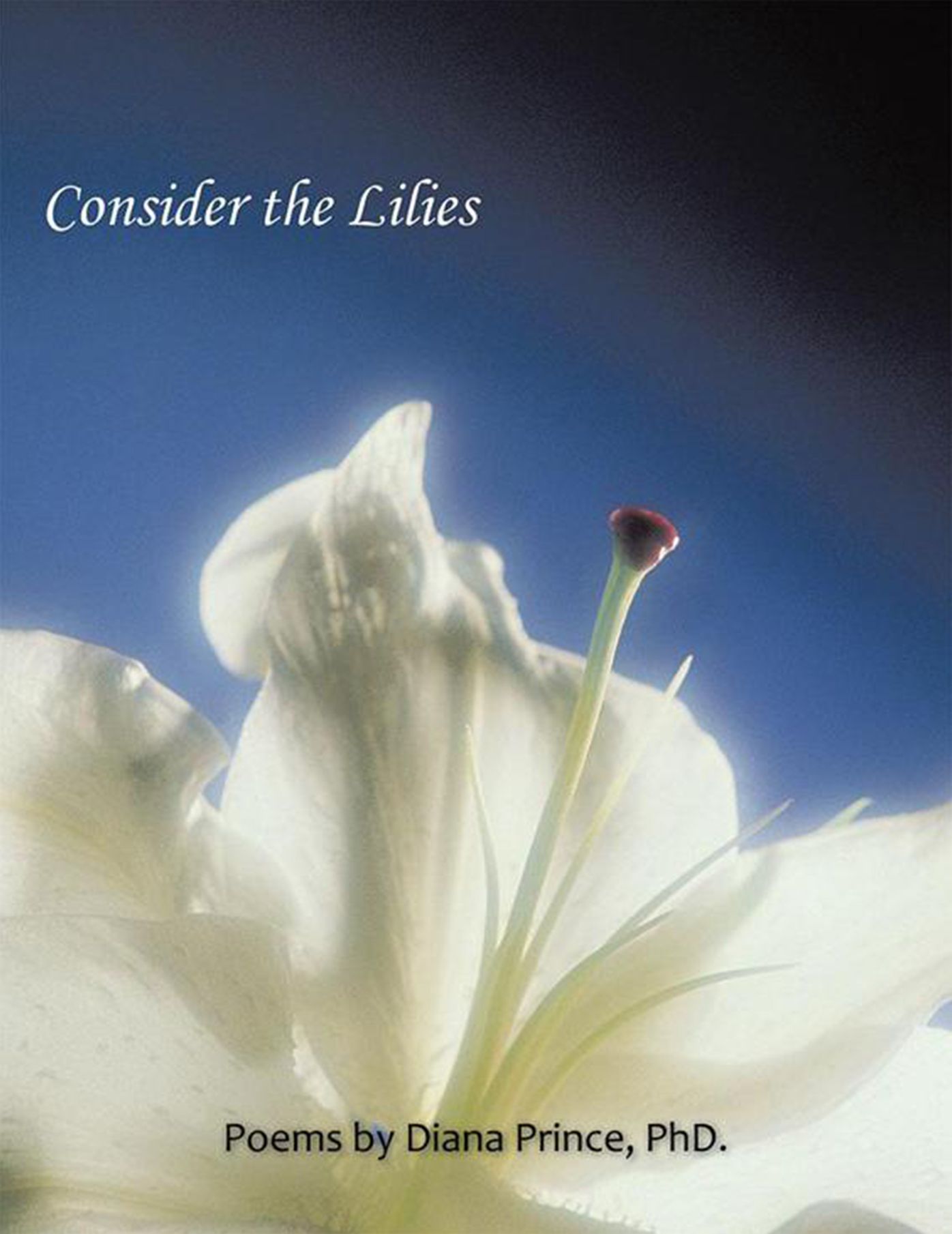 Consider the Lilies