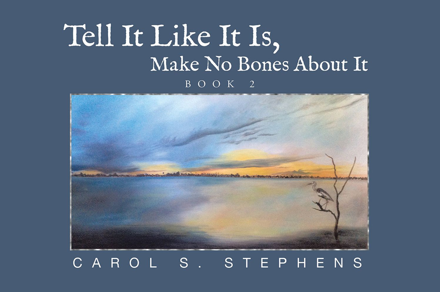Tell It Like It Is, Make No Bones About It: Book 2