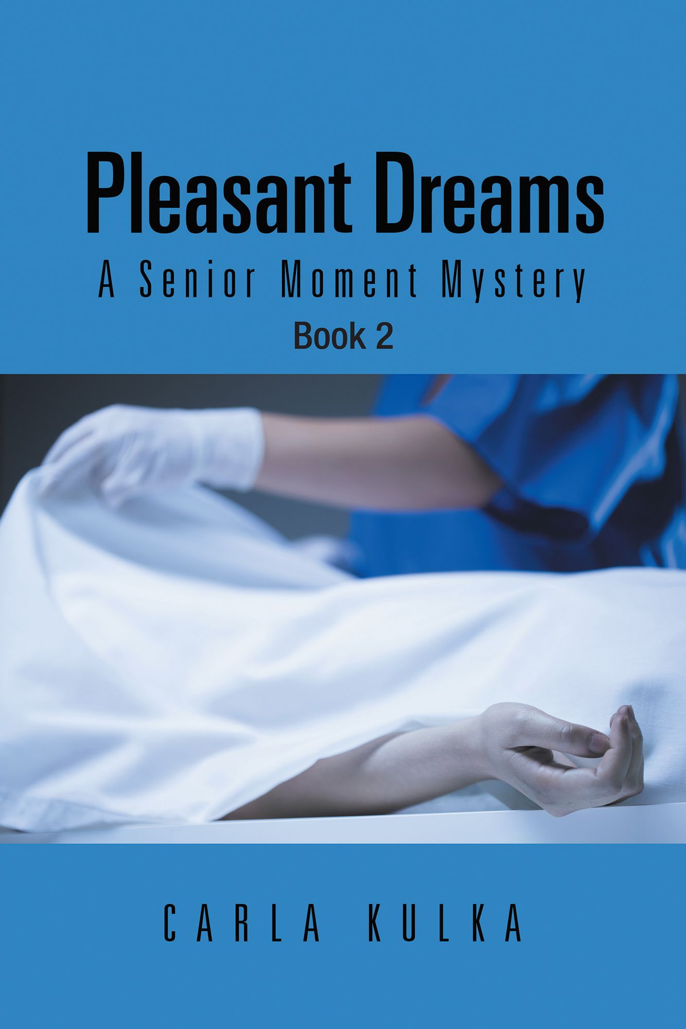 Pleasant Dreams: A Senior Moment Mystery Book 2