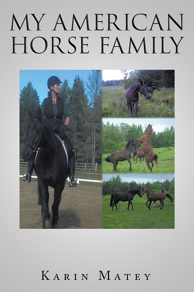 My American Horse Family