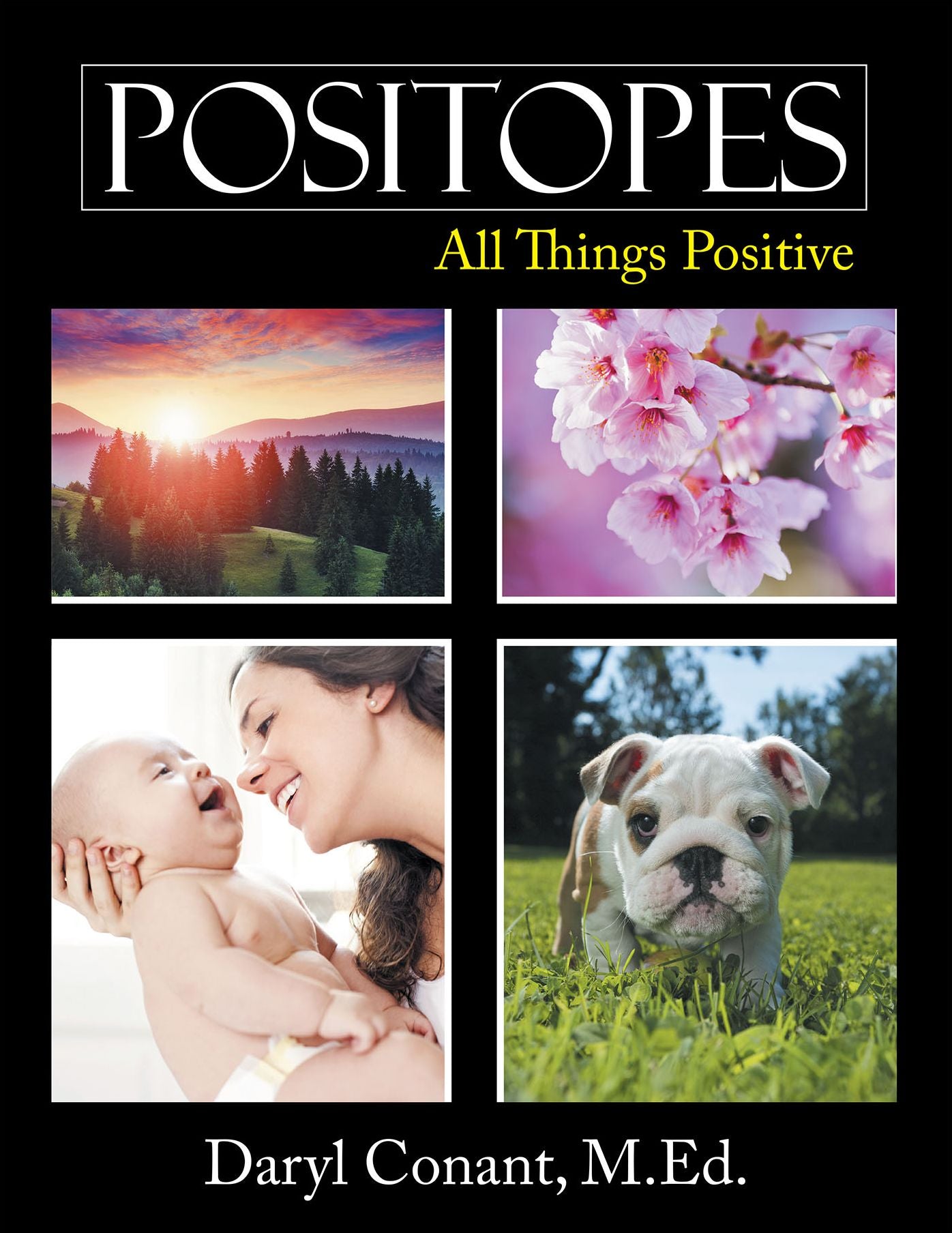 Positopes: All Things Positive