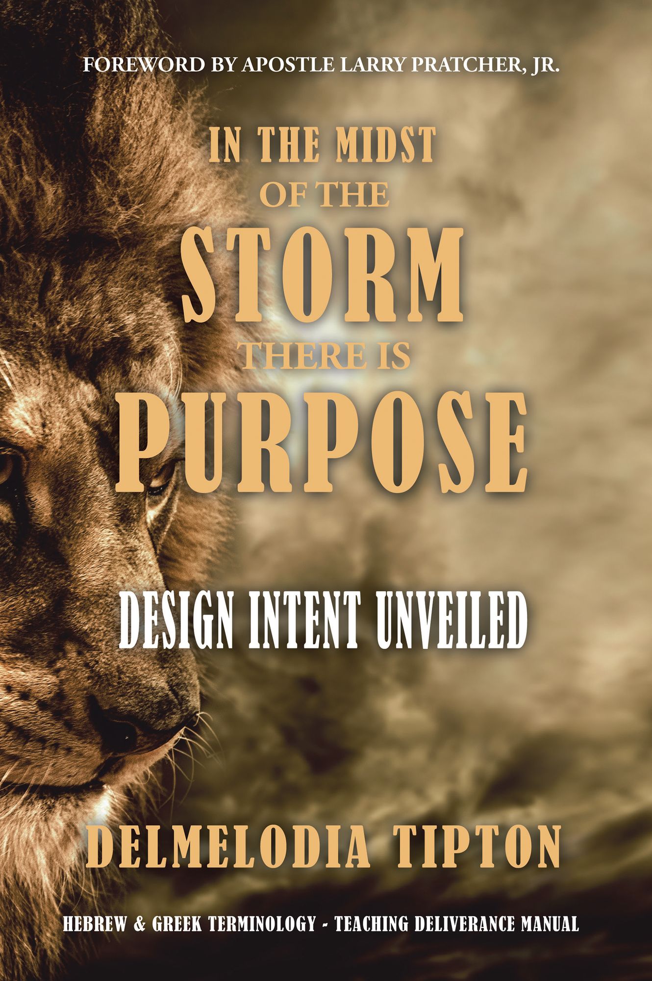 In the Midst of the Storm There Is Purpose: Design Intent Unveiled