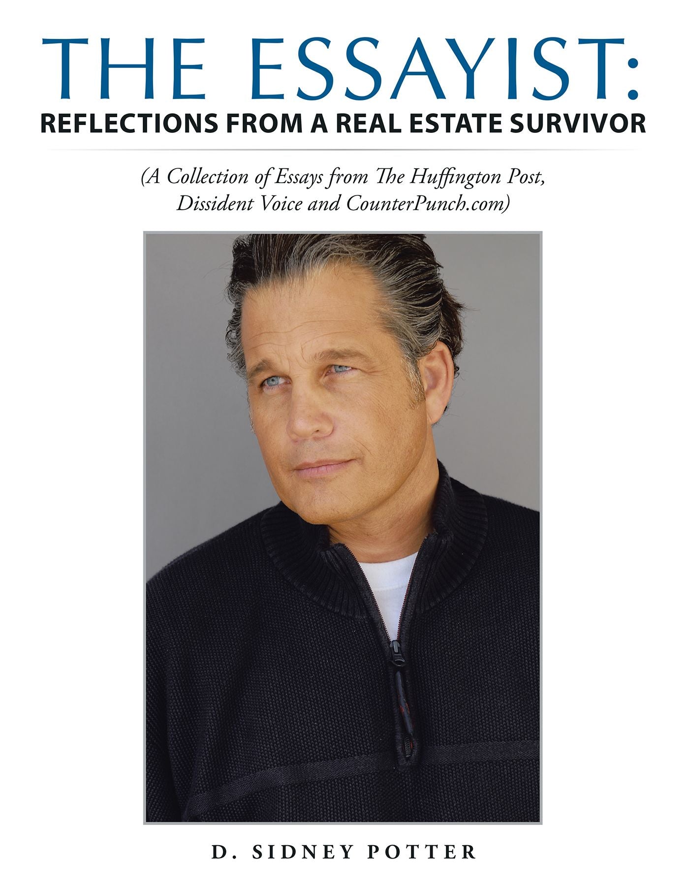 The Essayist: Reflections from a Real Estate Survivor: A Collection of Essays from the Huffington Post, Dissident Voice and Counterpunch.Com