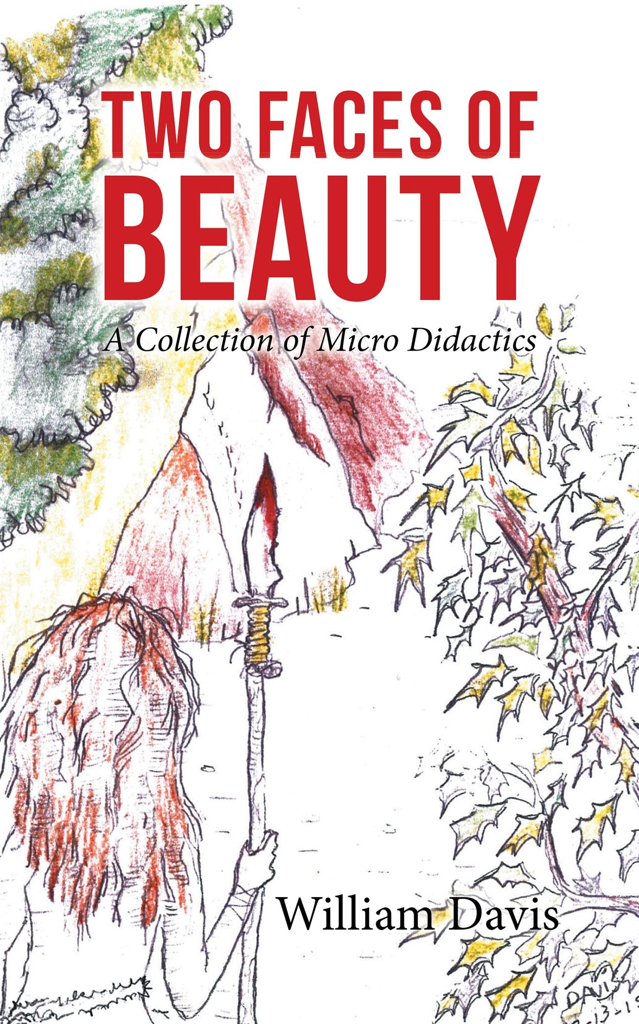 Two Faces of Beauty: A Collection of Micro Didactics