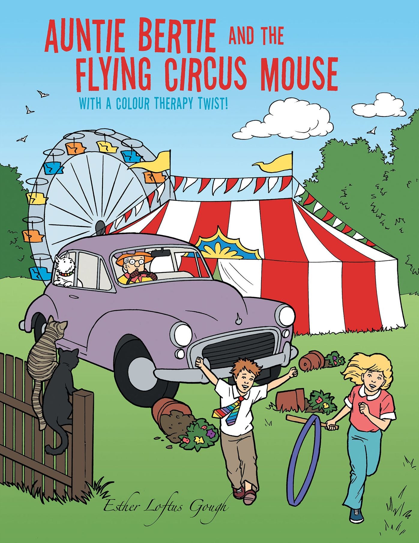 Auntie Bertie and the Flying Circus Mouse: With a Colour Therapy Twist!