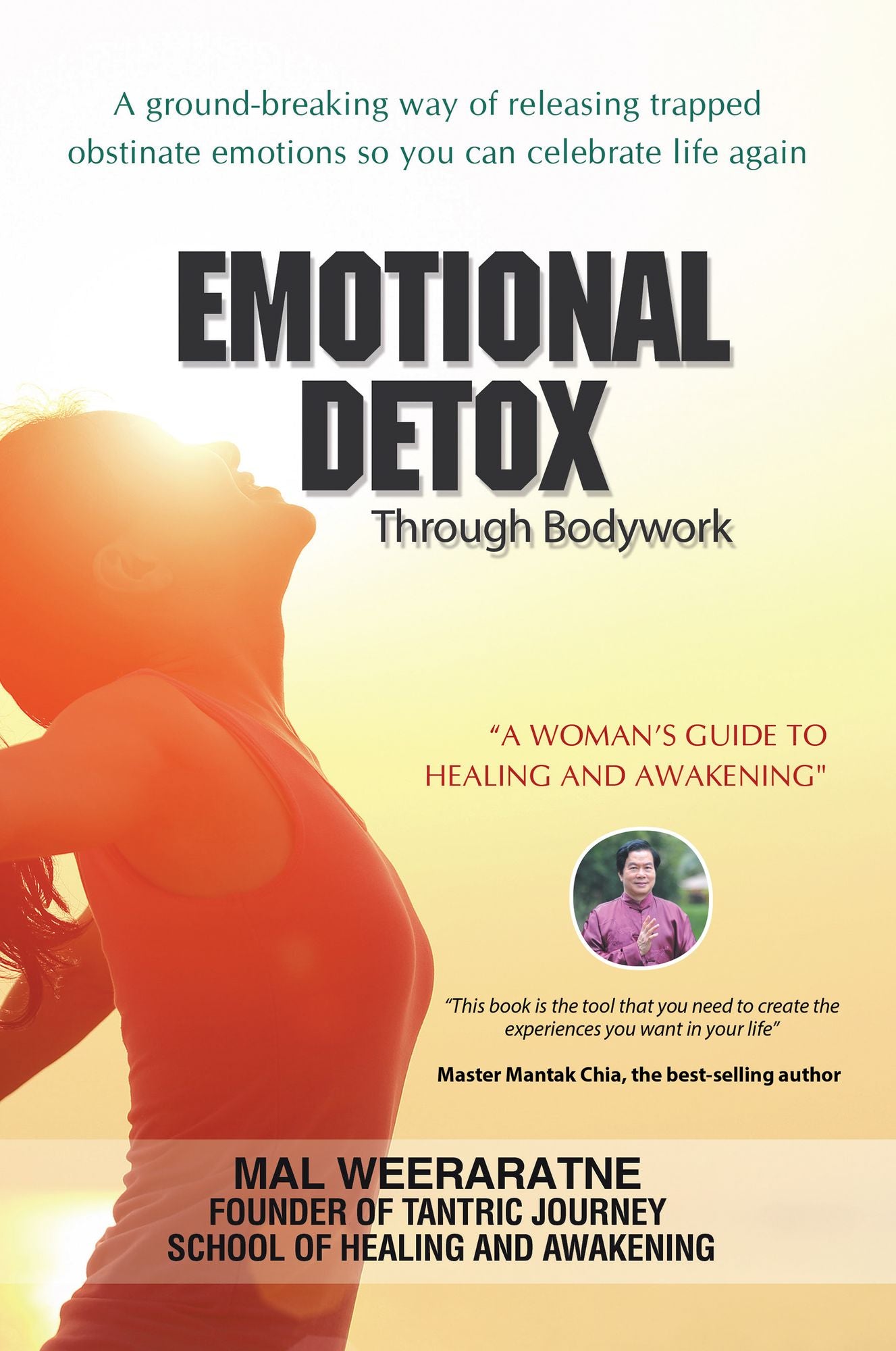 Emotional Detox Through Bodywork: A Womans Guide to Healing and Awakening