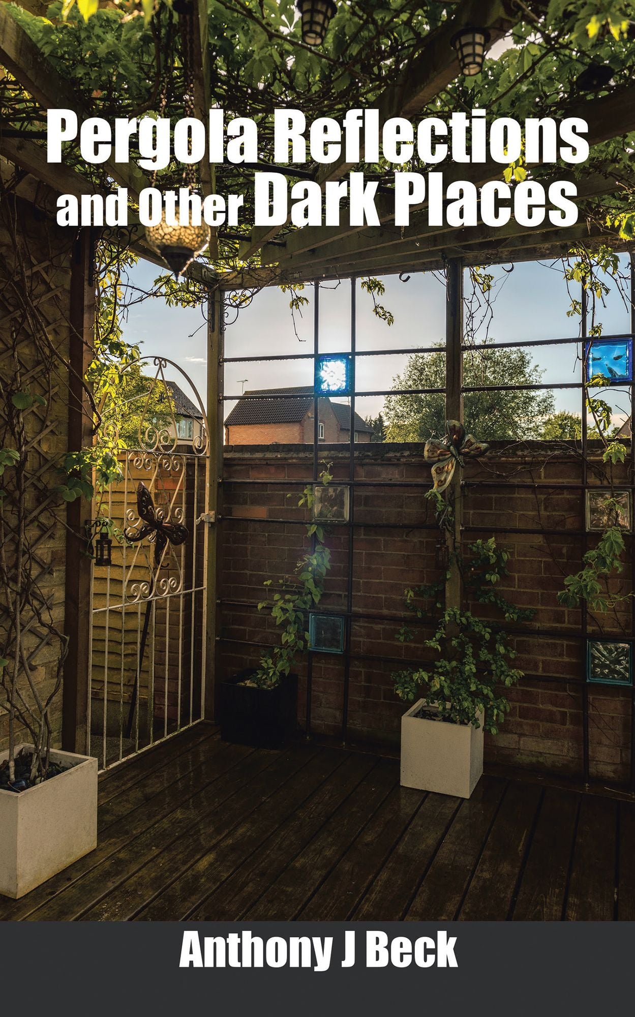 Pergola Reflections and Other Dark Places