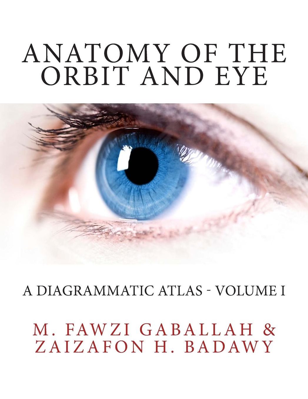 Anatomy of the Orbit and Eye: A Diagrammatic Atlas - Volume I