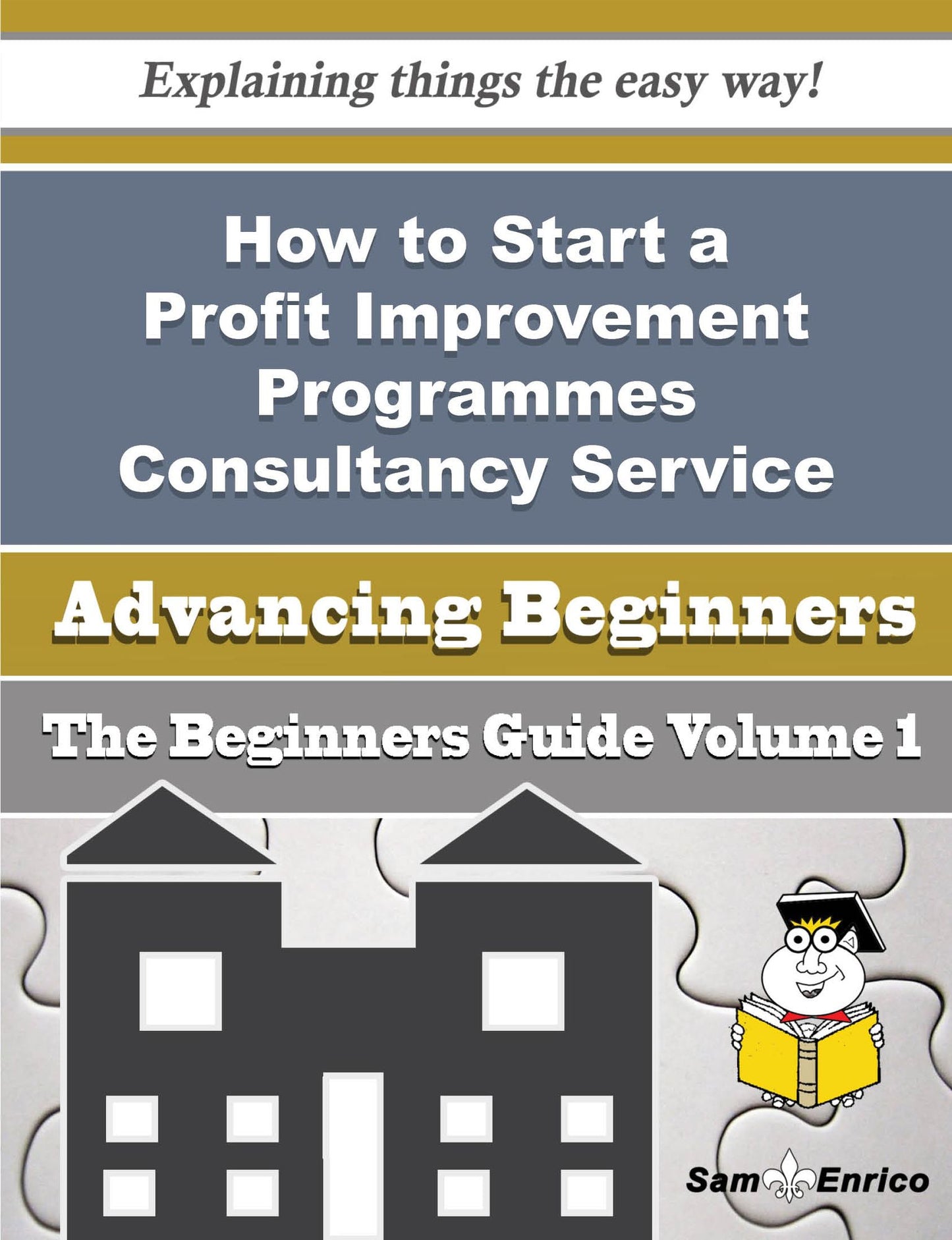 How to Start a Profit Improvement Programmes Consultancy Service Business (Beginners Guide)