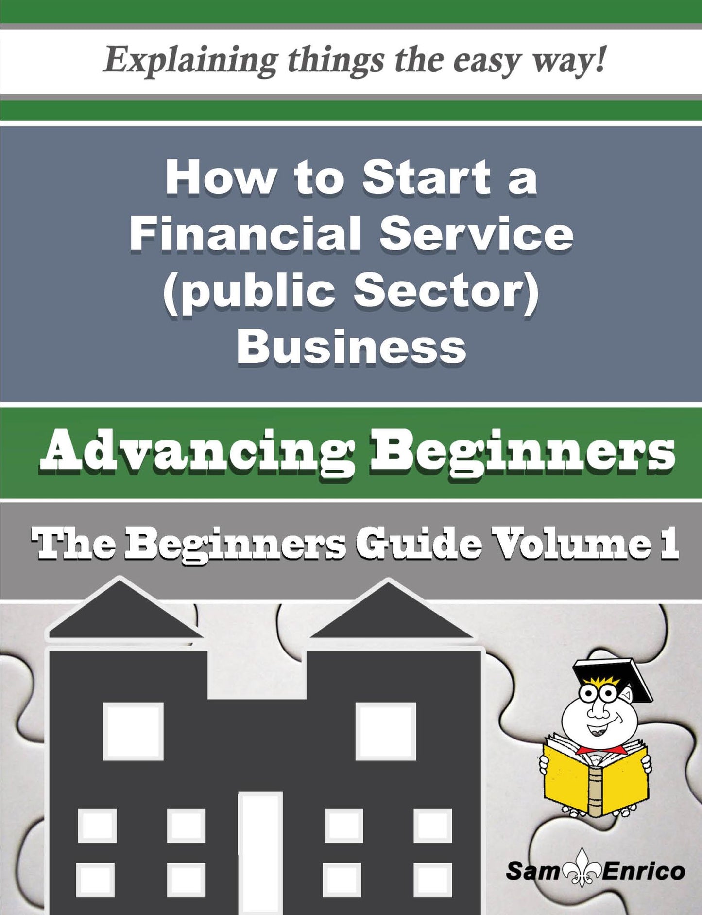 How to Start a Financial Service (public Sector) Business (Beginners Guide)