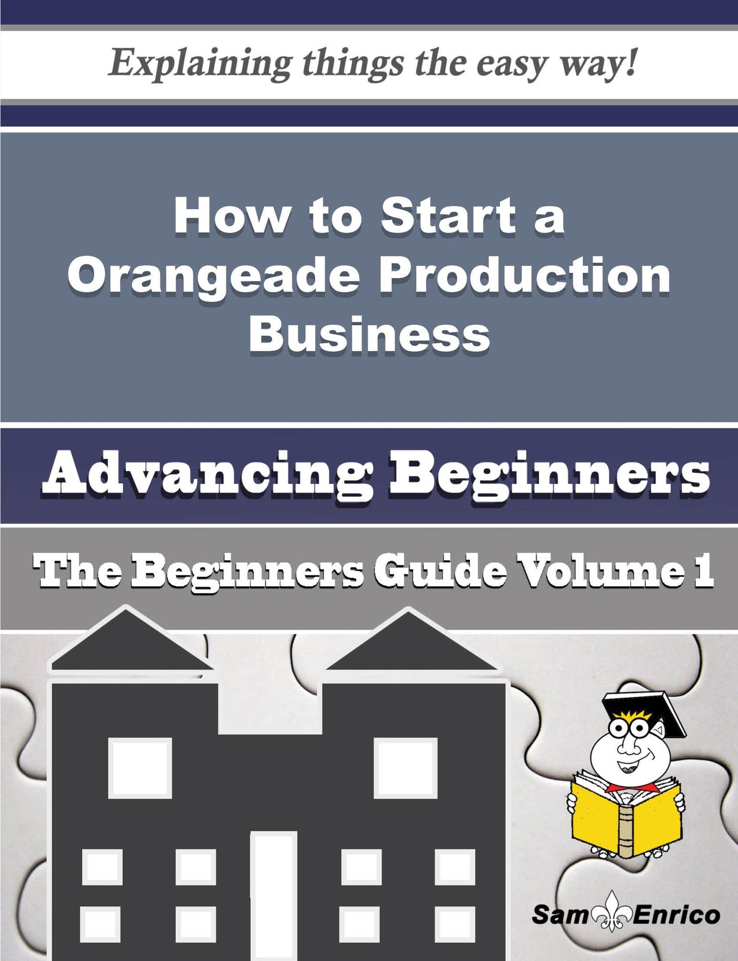 How to Start a Orangeade Production Business (Beginners Guide)