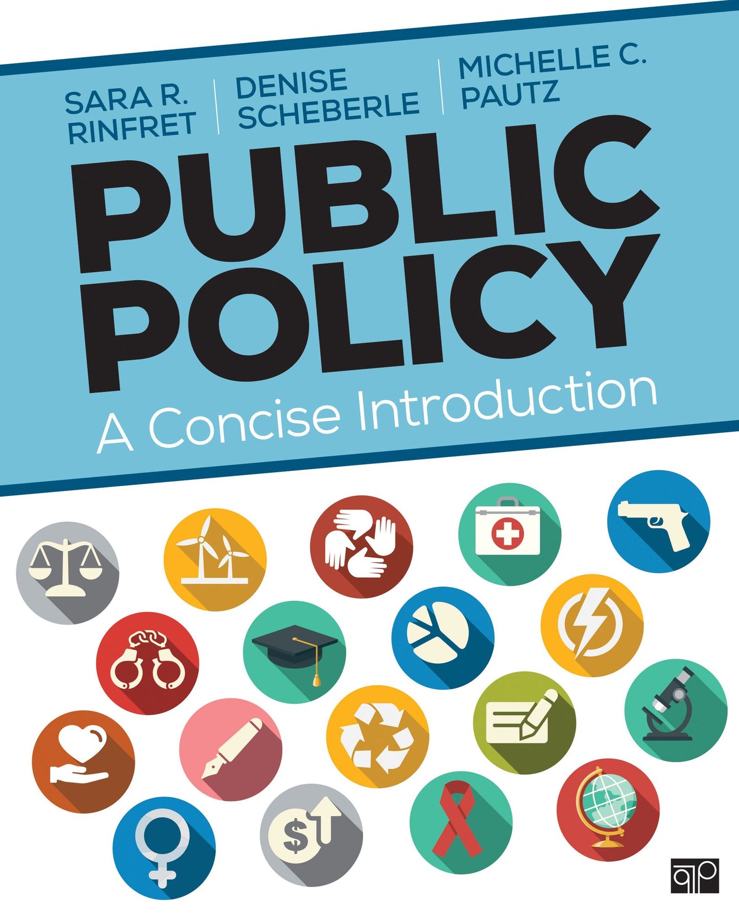 Public Policy: A Concise Introduction