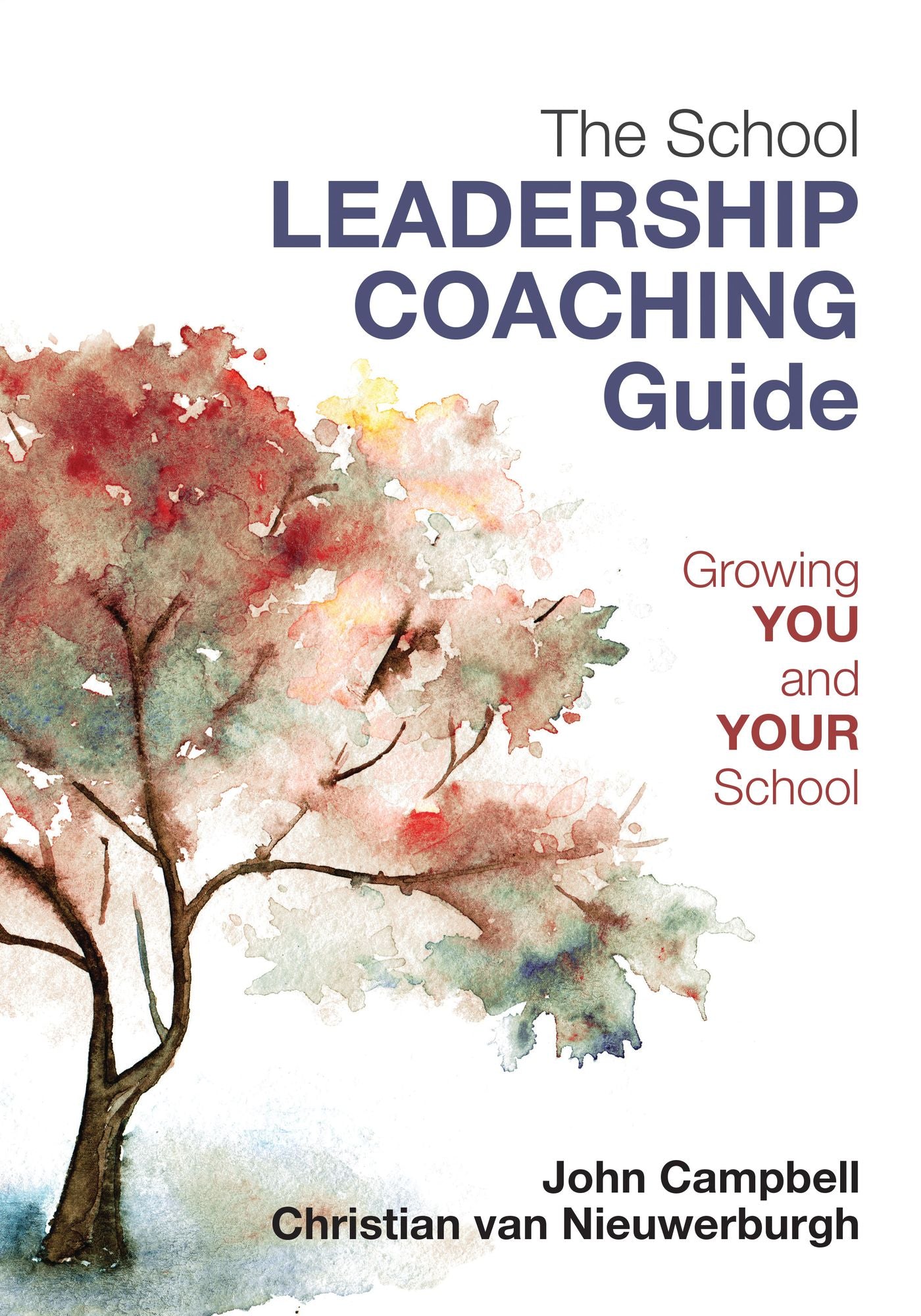 The Leader's Guide to Coaching in Schools: Creating Conditions for Effective Learning