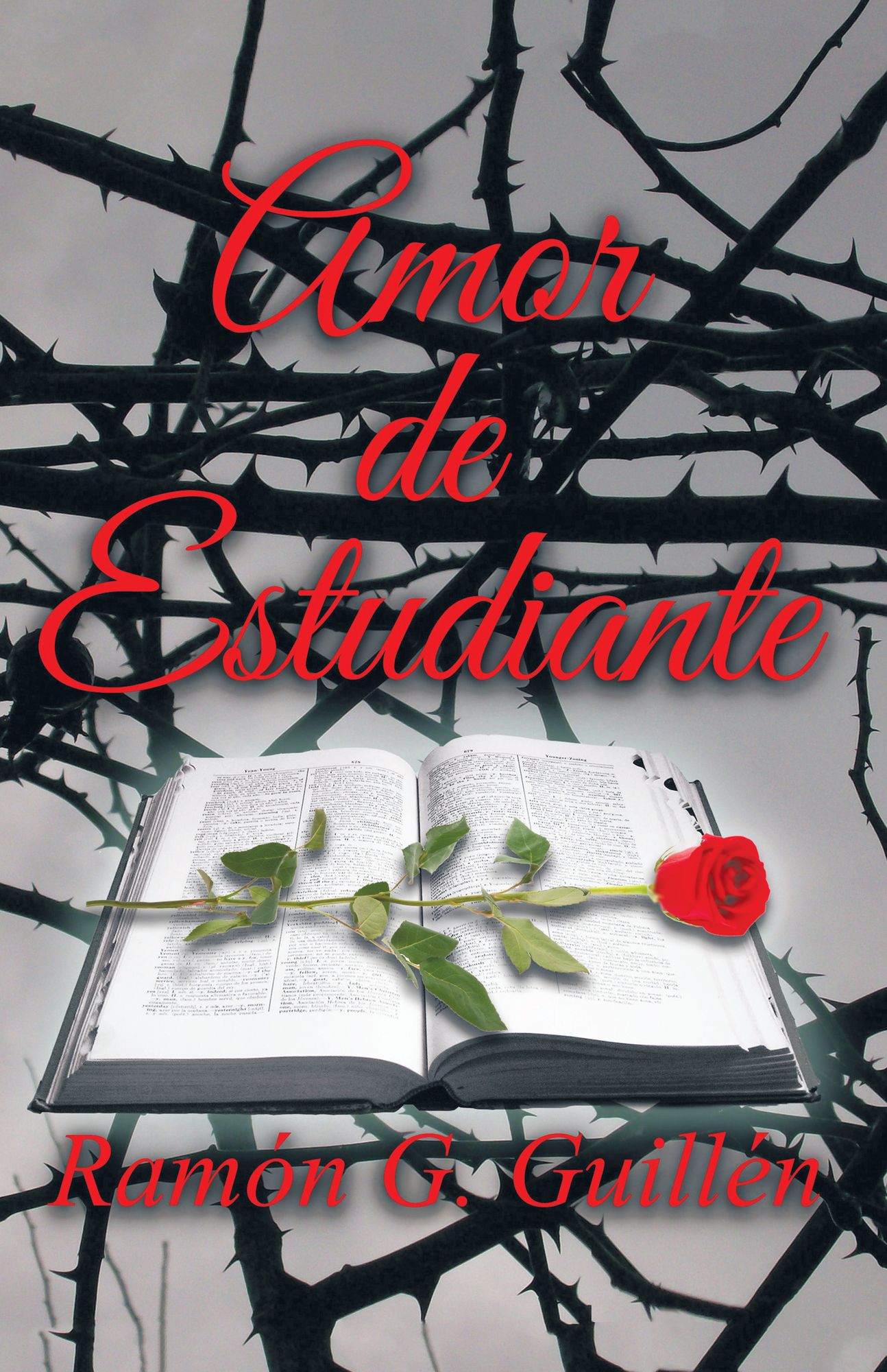 Amor De Estudiante