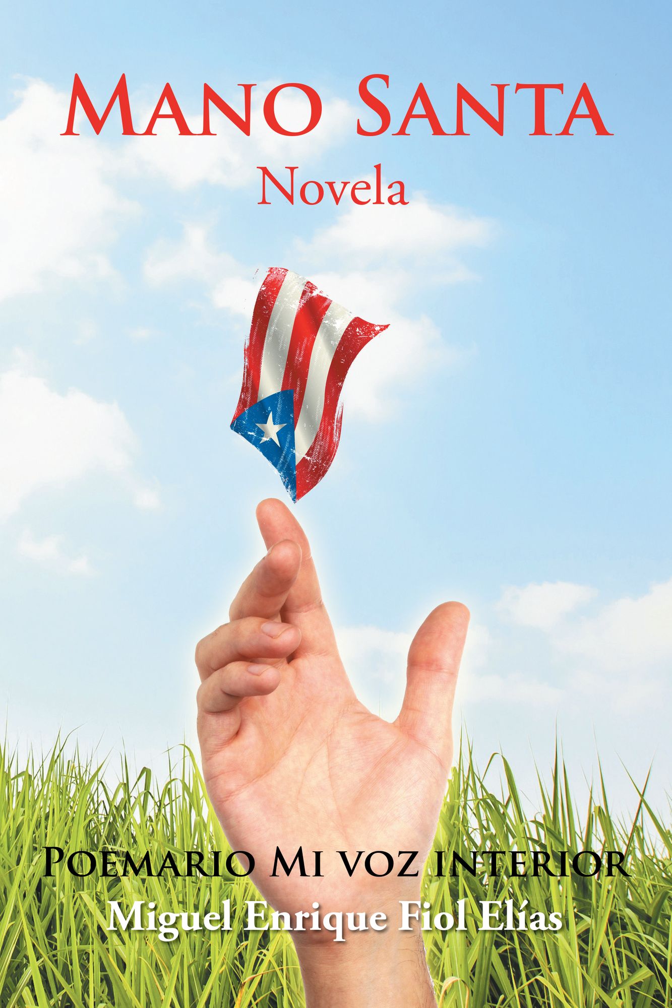 Mano Santa: Novela
